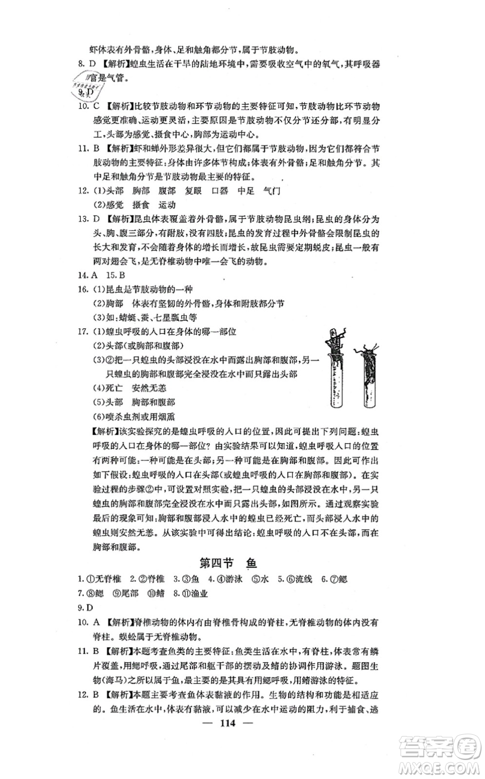 四川大學(xué)出版社2021課堂點(diǎn)睛八年級(jí)生物上冊(cè)人教版答案