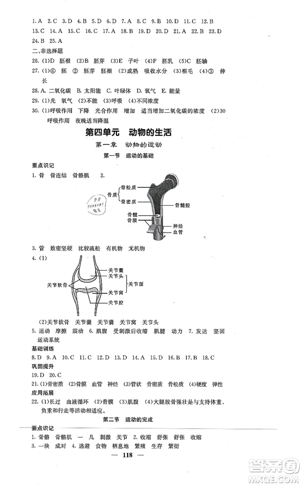 四川大學(xué)出版社2021課堂點睛八年級生物上冊冀少版答案