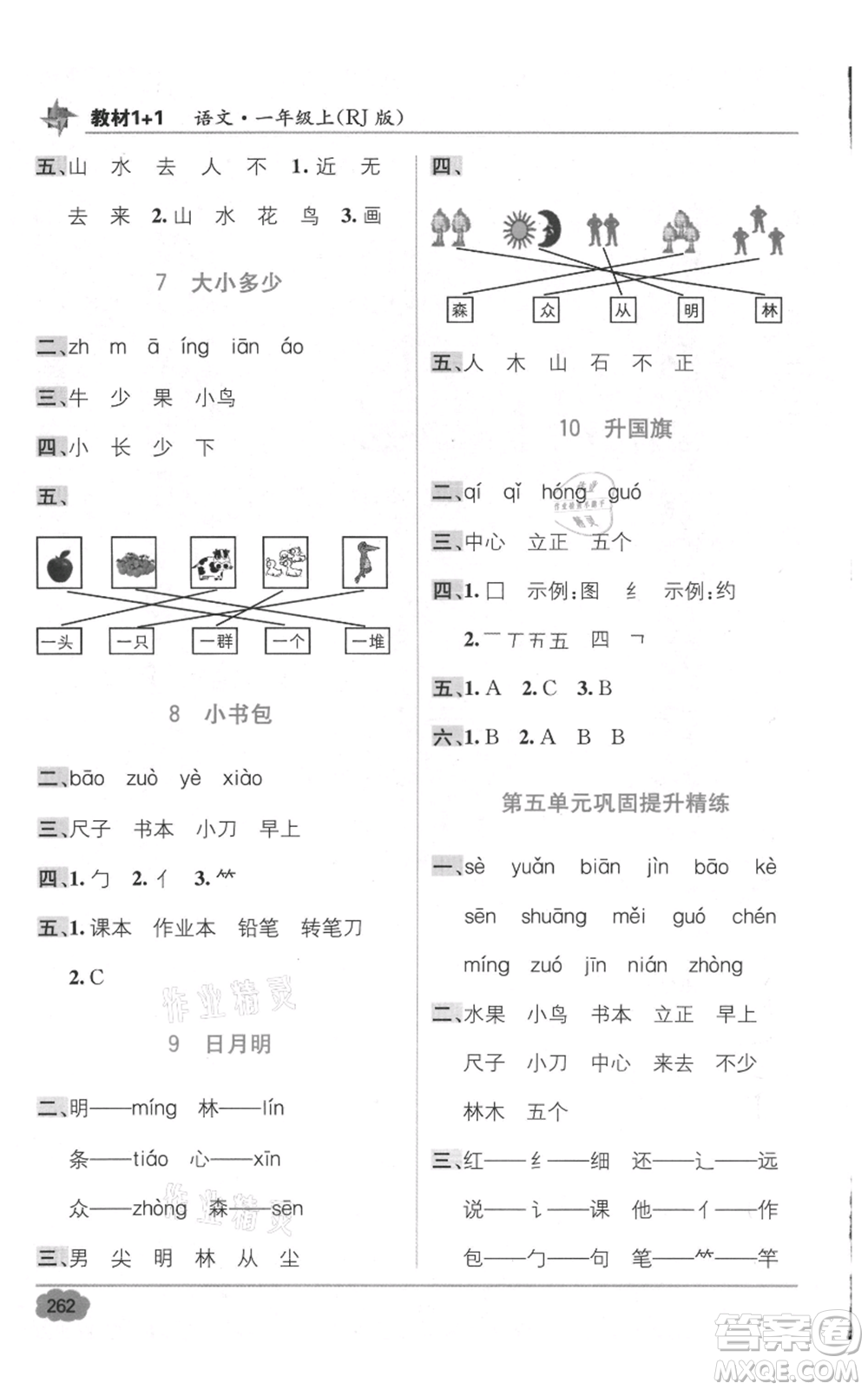 新疆青少年出版社2021教材1+1全解精練一年級上冊語文人教版參考答案