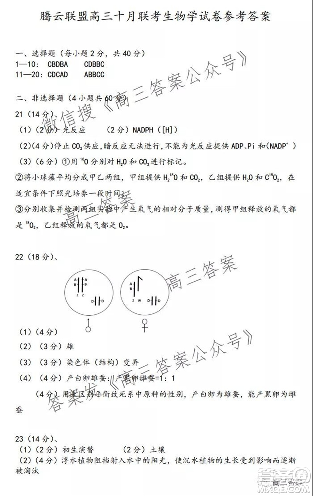 騰云聯(lián)盟2021-2022學(xué)年度上學(xué)期高三10月聯(lián)考生物學(xué)試題及答案