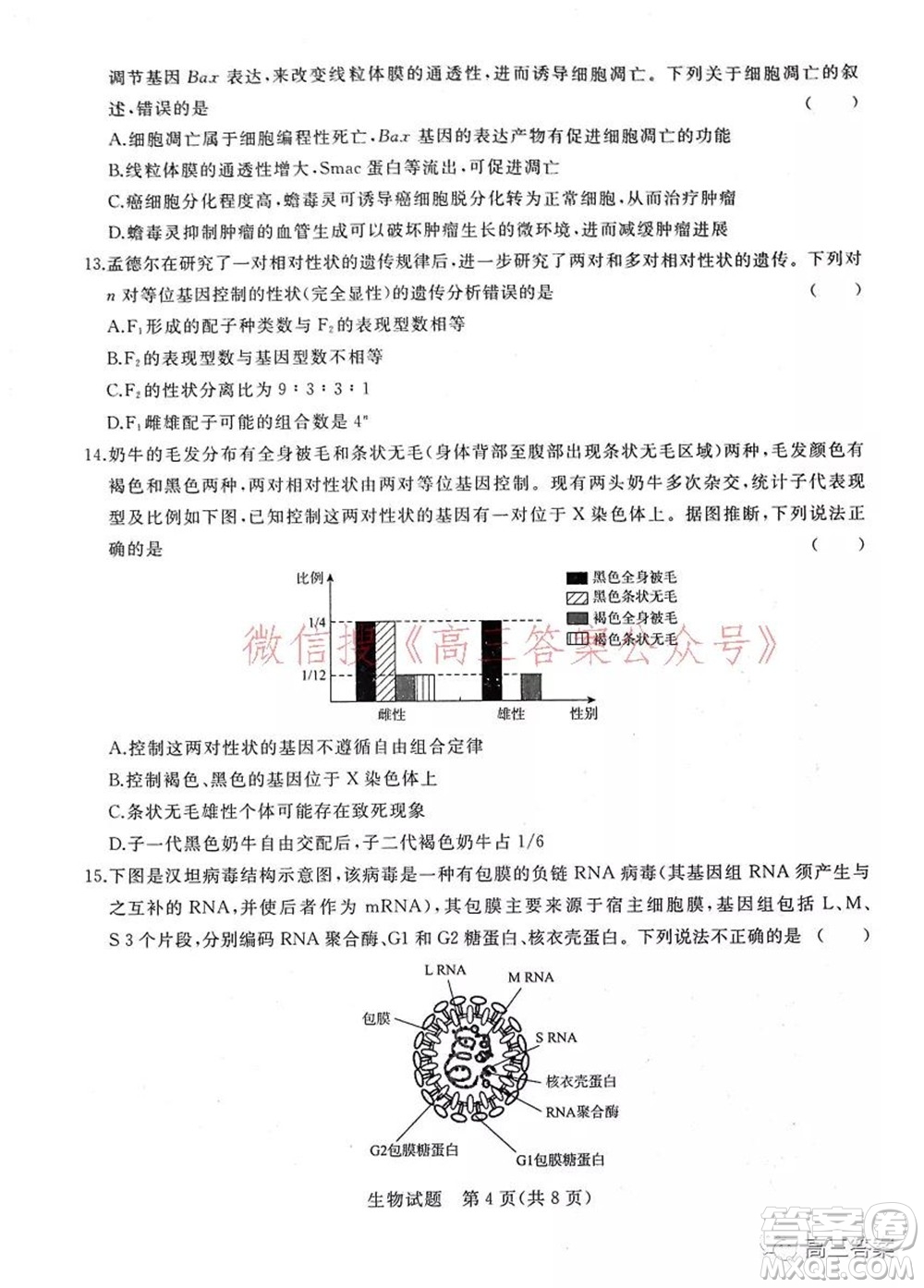 2022屆普通高等學(xué)校全國(guó)統(tǒng)一招生考試青桐鳴10月大聯(lián)考生物試題及答案