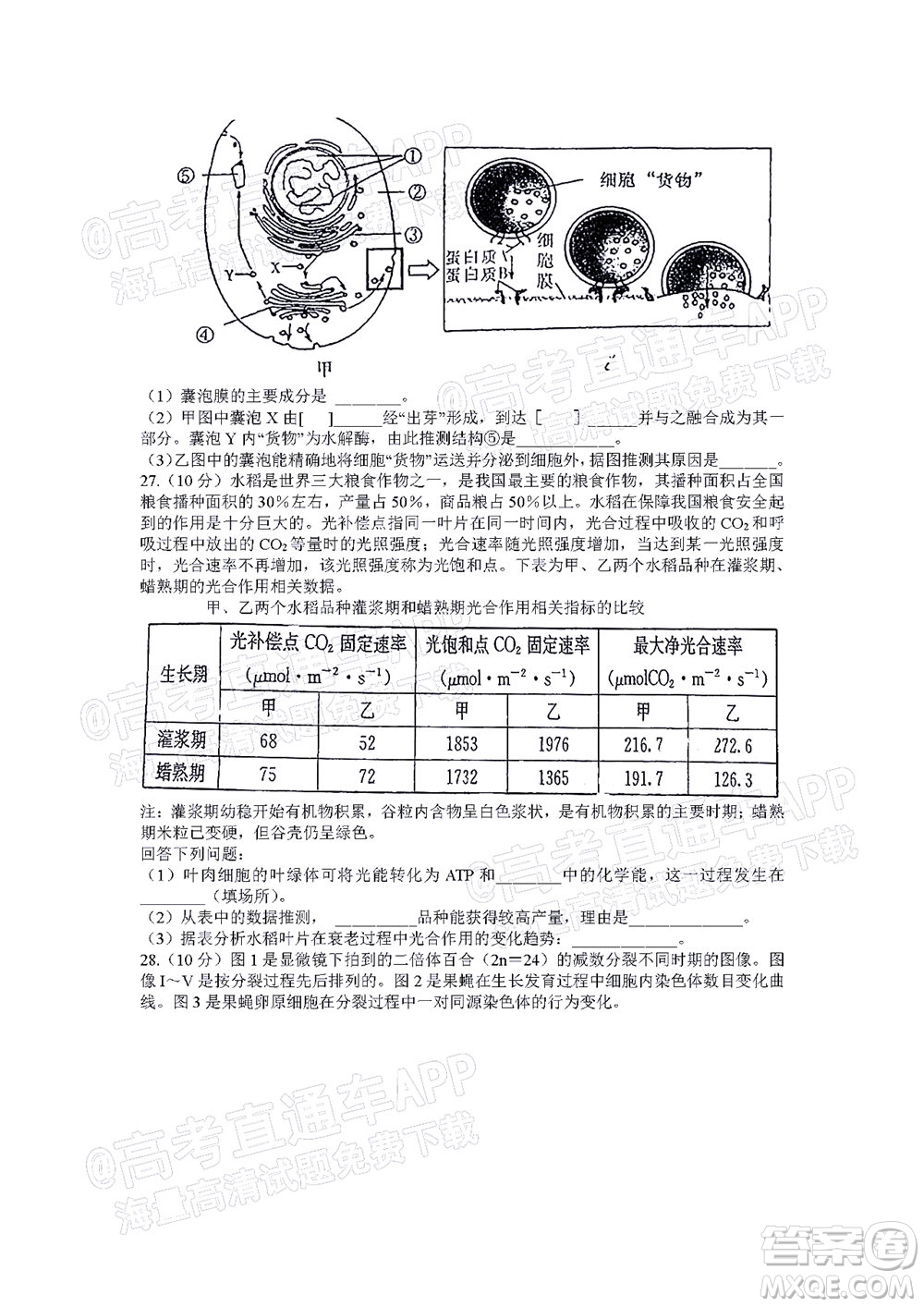 湖南名校聯(lián)考聯(lián)合體2021年高三10月聯(lián)考生物試題及答案