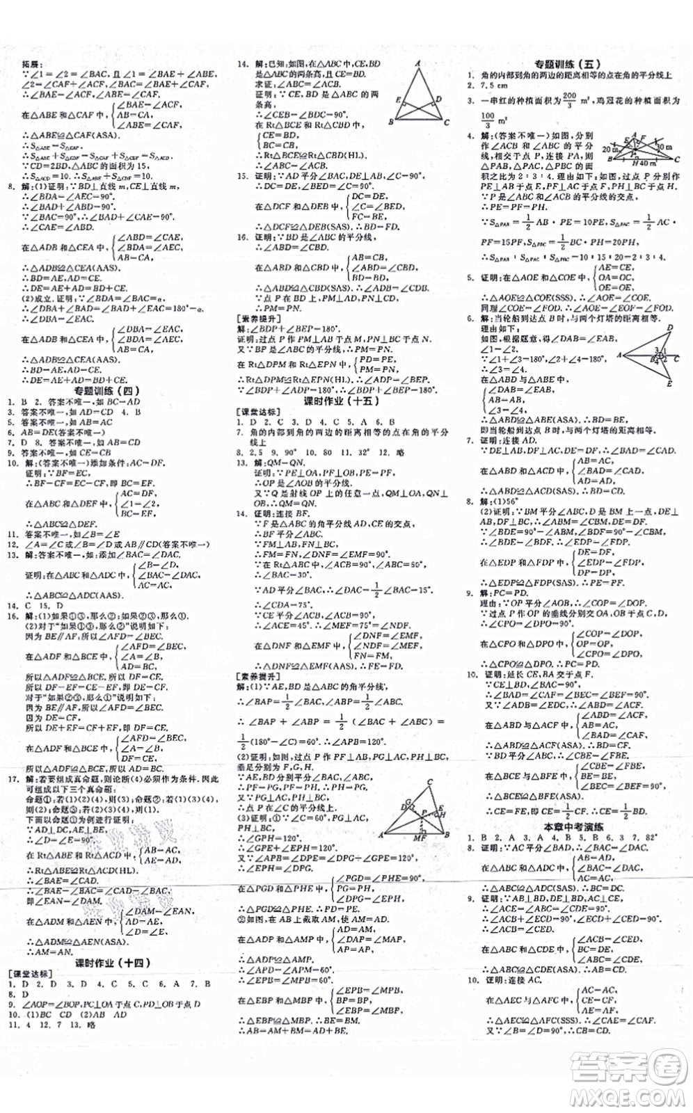 陽光出版社2021全品學(xué)練考作業(yè)手冊八年級數(shù)學(xué)上冊RJ人教版江西專版答案