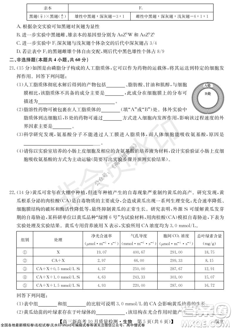 2022屆九師聯(lián)盟高三新高考10月質(zhì)量檢測生物試題及答案