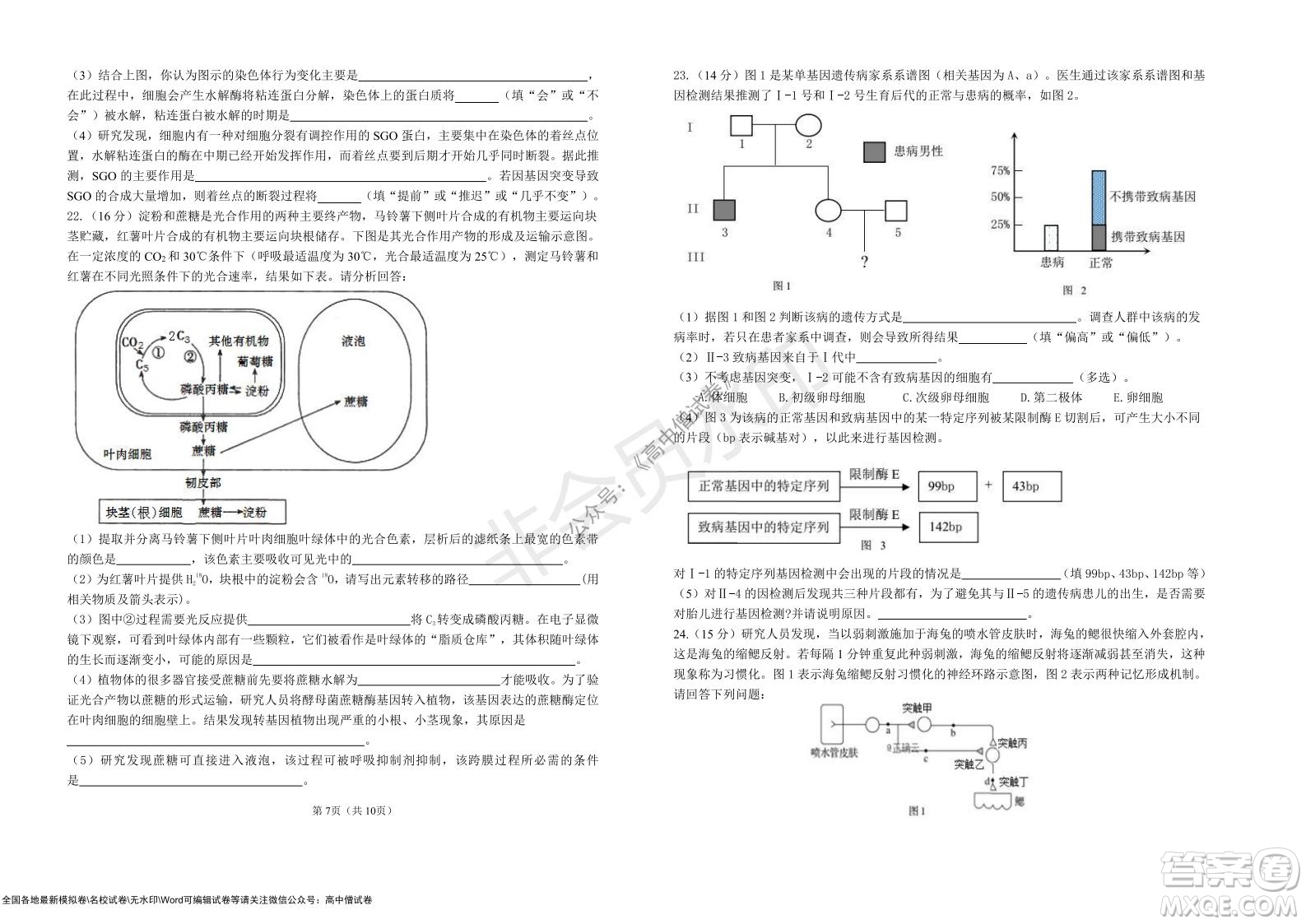 湖北省部分重點中學(xué)2022屆高三10月聯(lián)考生物試題及答案