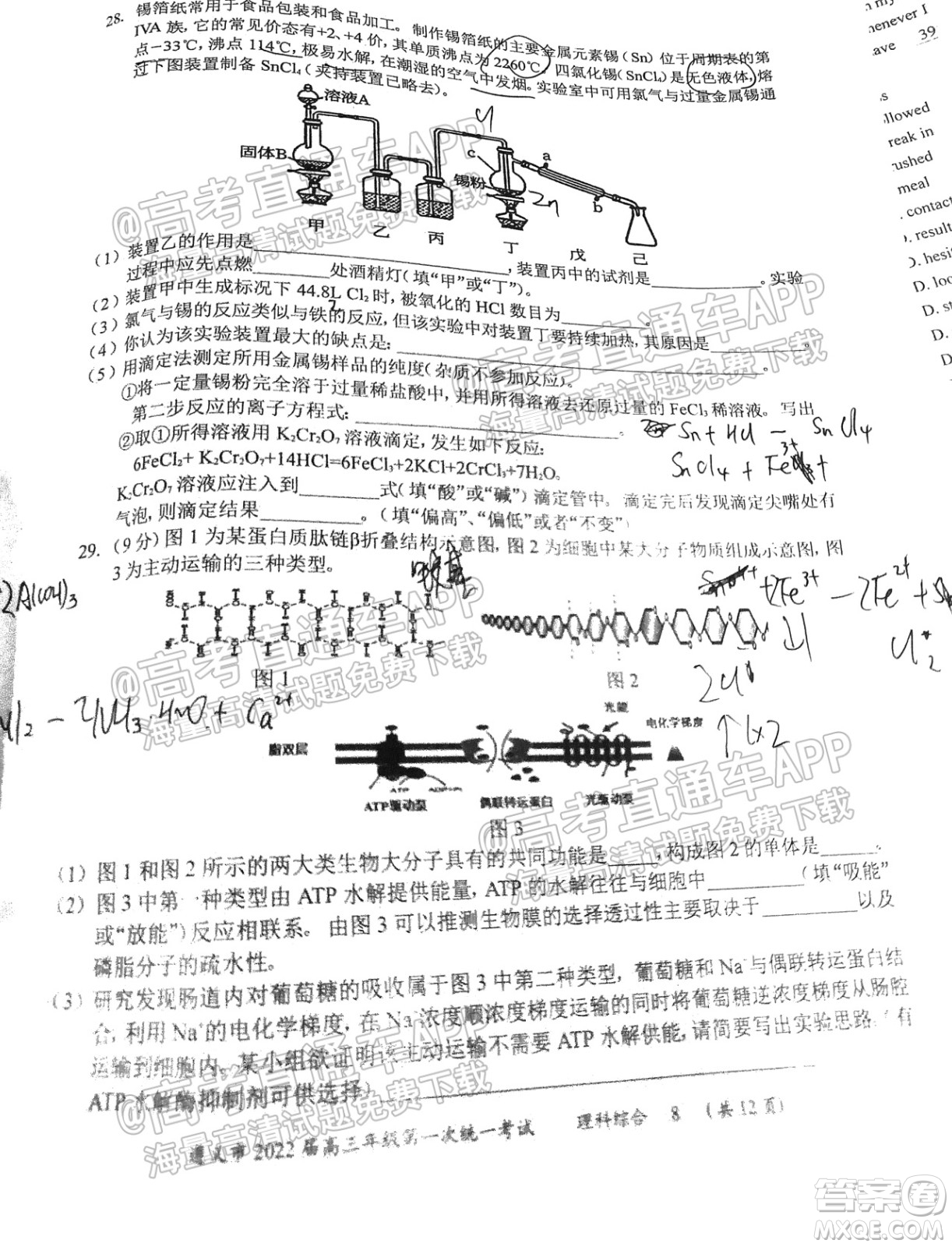 遵義市2022屆高三年級第一次統(tǒng)一考試?yán)砜凭C合試題及答案