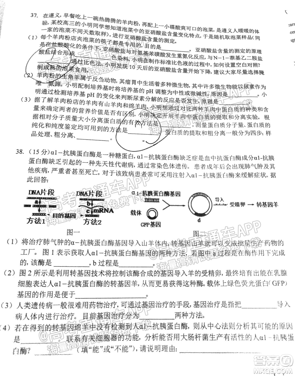 遵義市2022屆高三年級第一次統(tǒng)一考試?yán)砜凭C合試題及答案