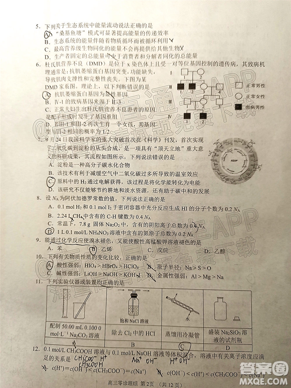 南充市高2022屆高考適應性考試零診理科綜合試題及答案