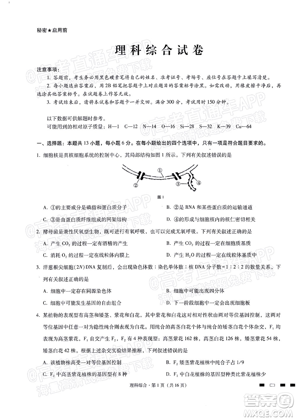 2022屆貴陽一中高考適應(yīng)性月考二理科綜合試題及答案