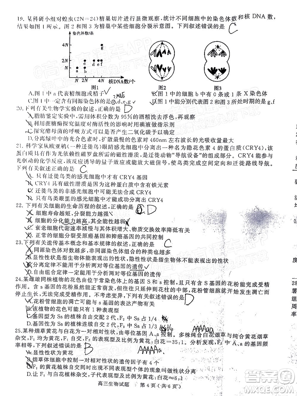 信陽(yáng)2021-2022學(xué)年普通高中高三第一次教學(xué)質(zhì)量檢測(cè)生物試題及答案