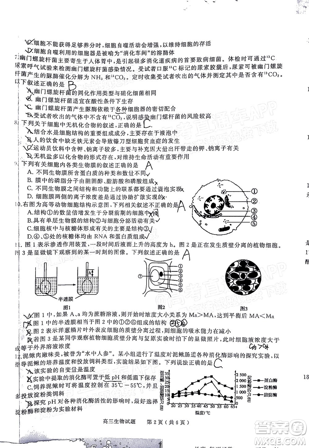 信陽(yáng)2021-2022學(xué)年普通高中高三第一次教學(xué)質(zhì)量檢測(cè)生物試題及答案