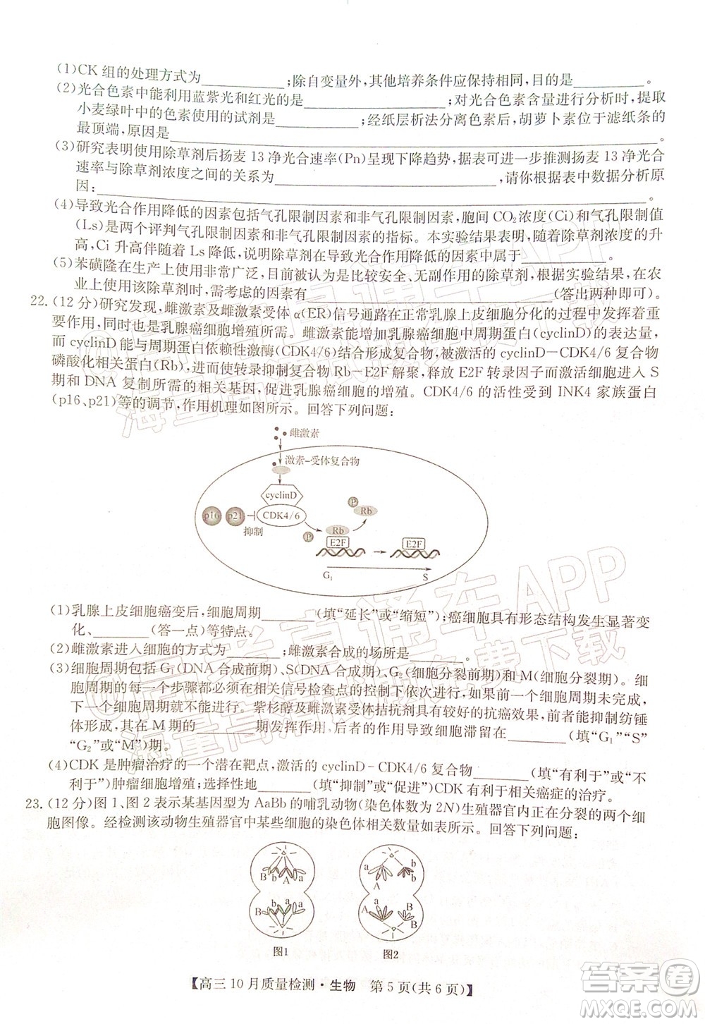 2022屆九師聯(lián)盟高三10月質(zhì)量檢測生物試題及答案