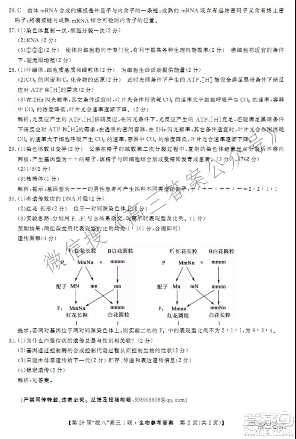 皖南八校2022屆高三第一次聯(lián)考生物試題及答案