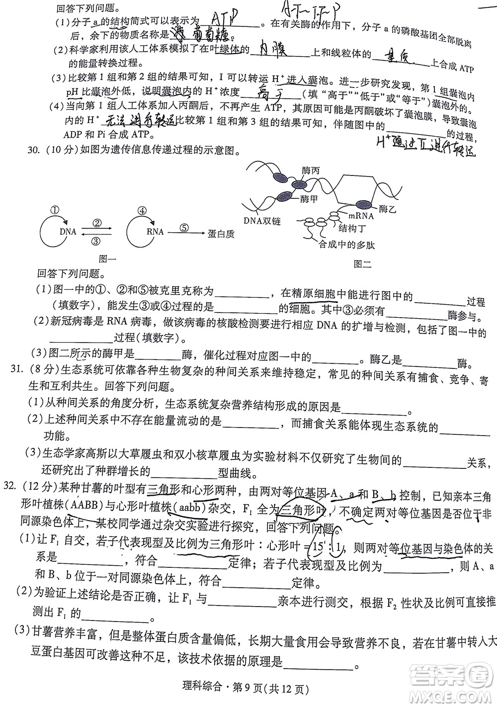 明市第一中學(xué)2022屆高中新課標(biāo)高三第三次雙基檢測理科綜合試卷答案