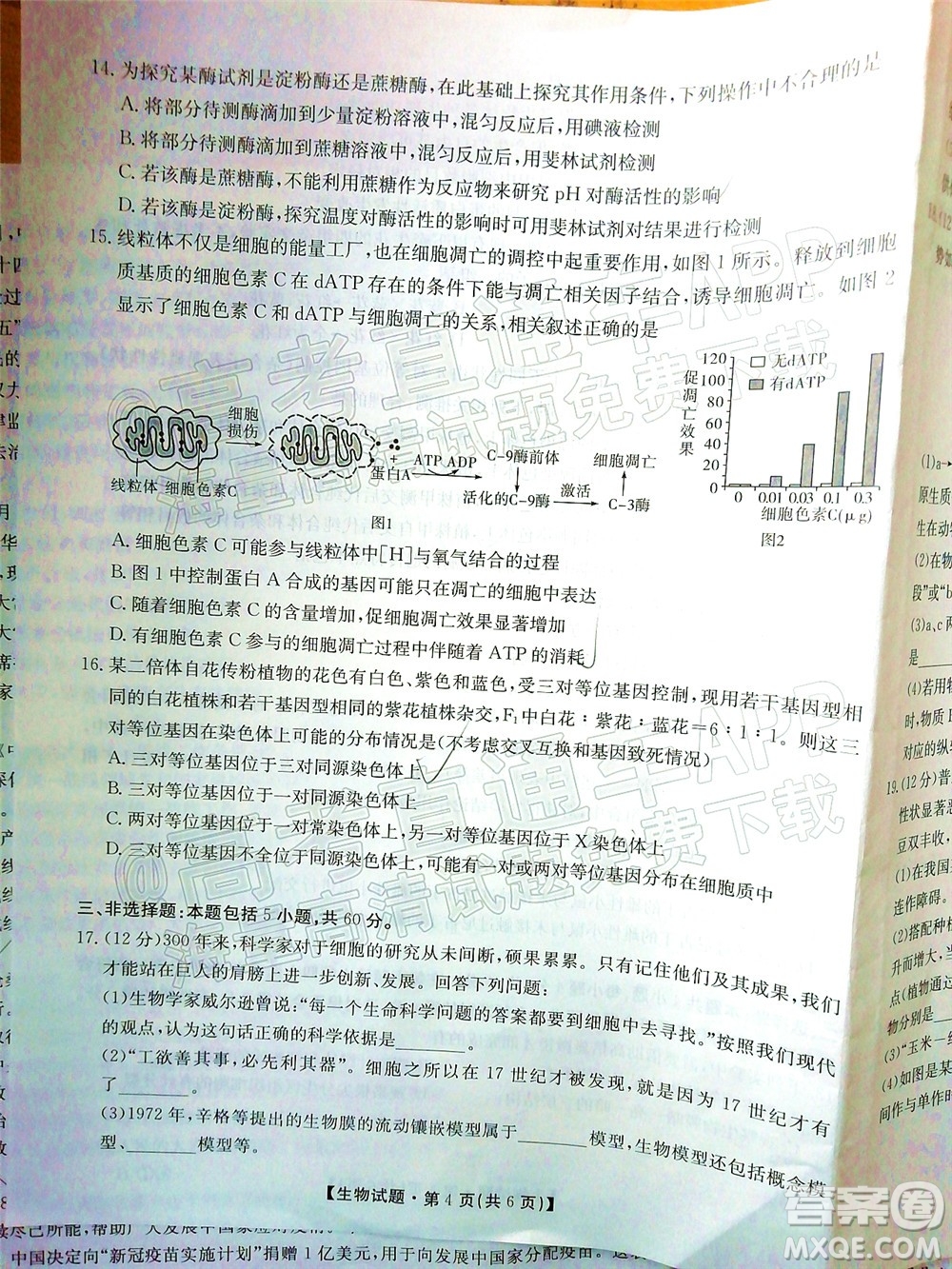 五市十校教研教改共同體2022屆高三第一次大聯(lián)考生物試題及答案