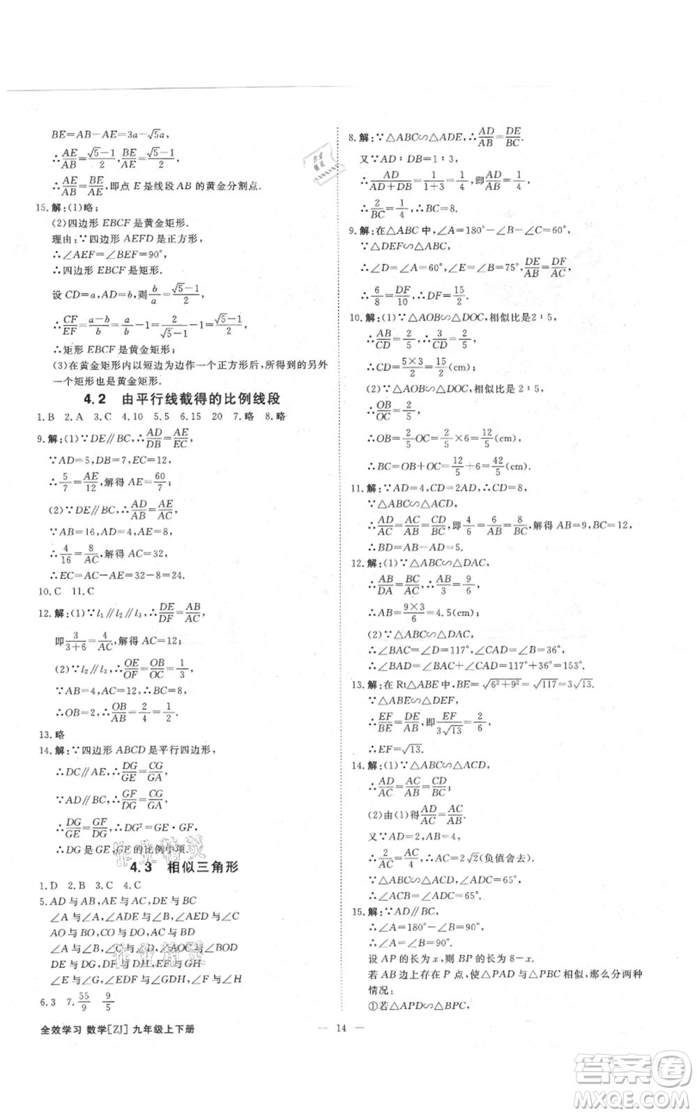 光明日報出版社2021全效學(xué)習(xí)課時提優(yōu)九年級數(shù)學(xué)浙教版精華版參考答案