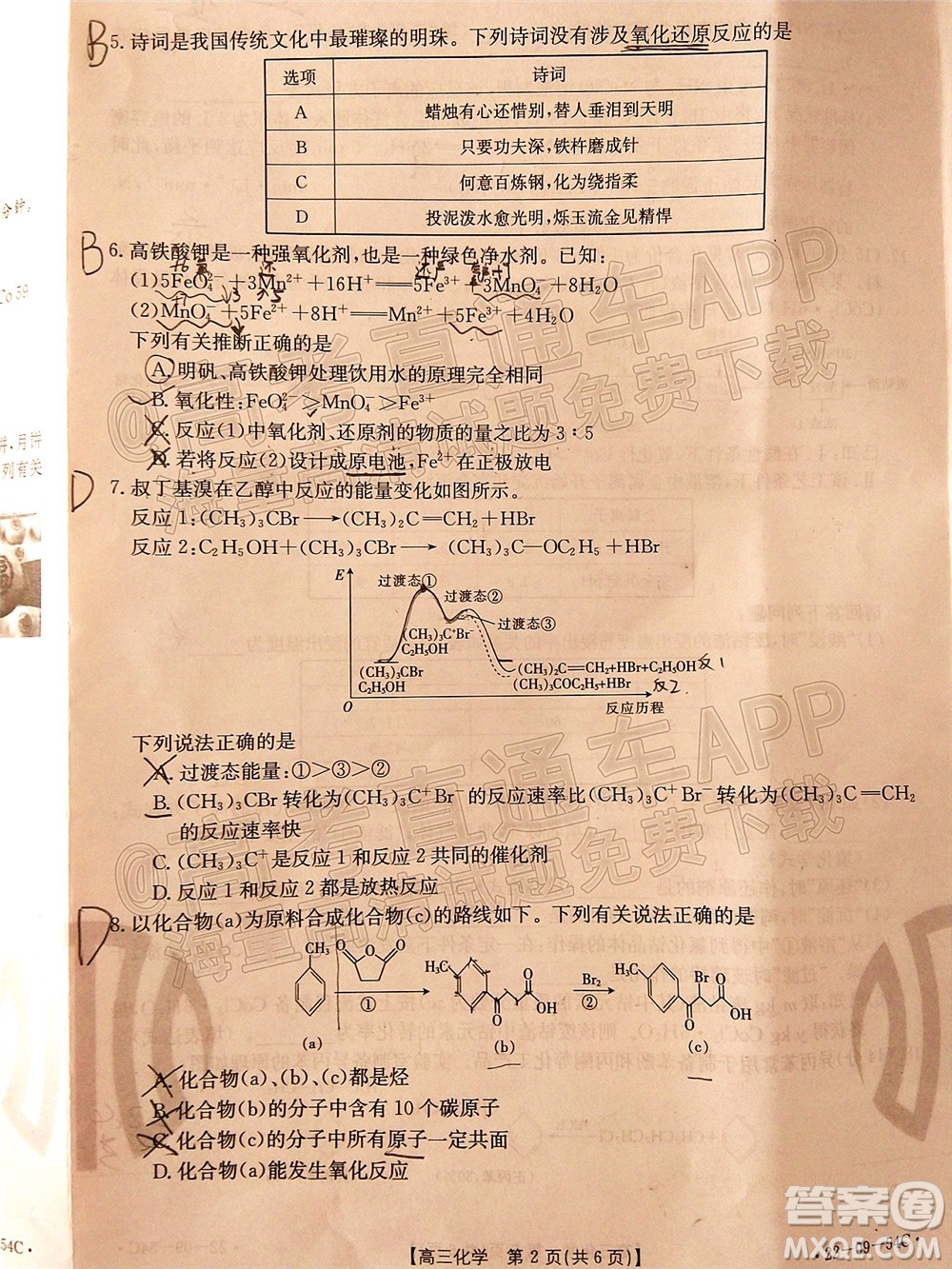 2022屆內(nèi)蒙古金太陽高三10月聯(lián)考化學試題及答案