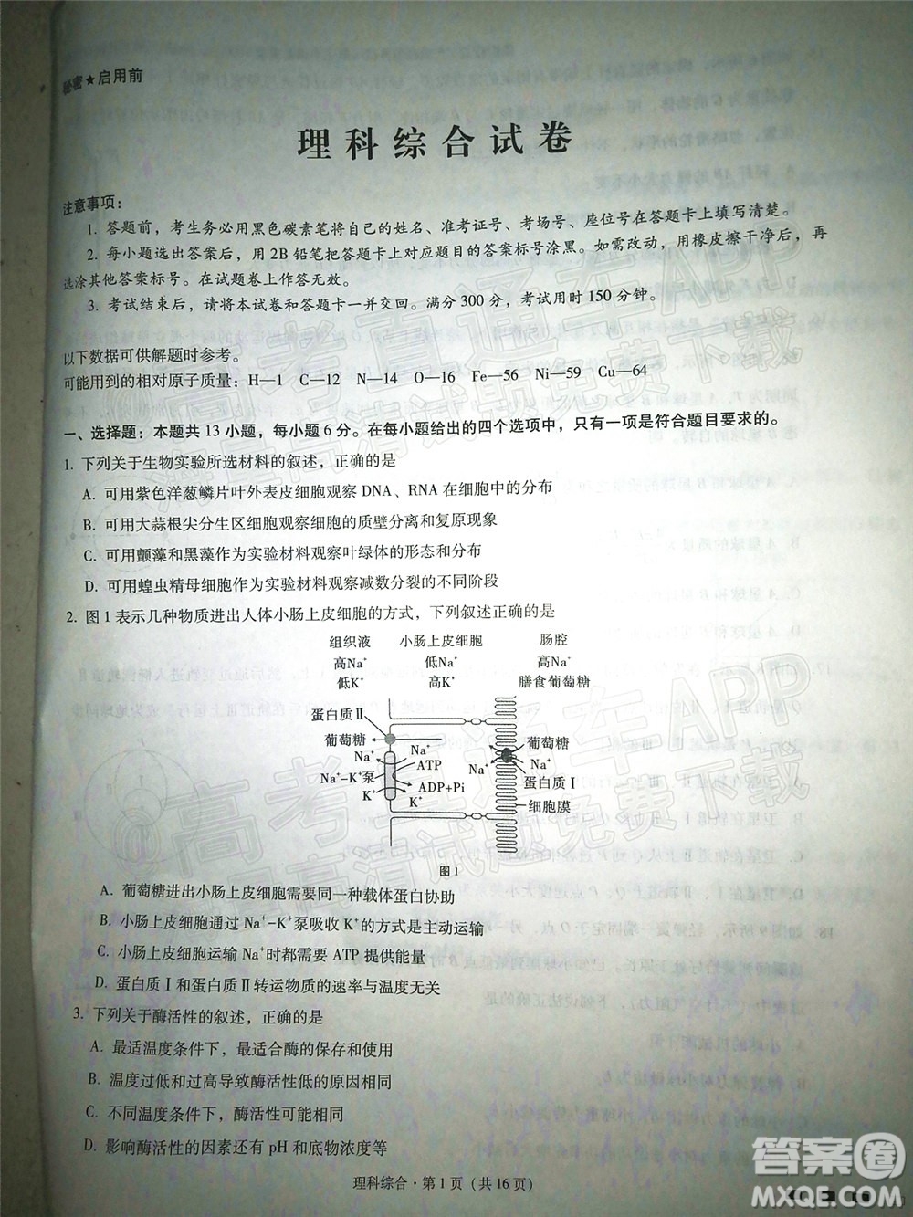 云南師大附中2022屆高考適應性月考卷四理科綜合試卷及答案