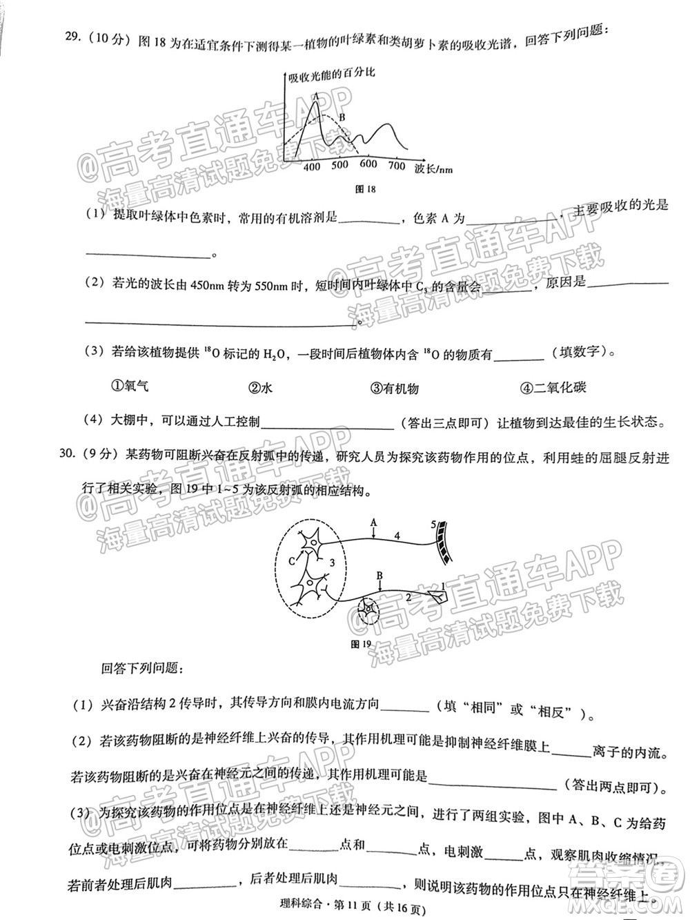 云南師大附中2022屆高考適應性月考卷四理科綜合試卷及答案