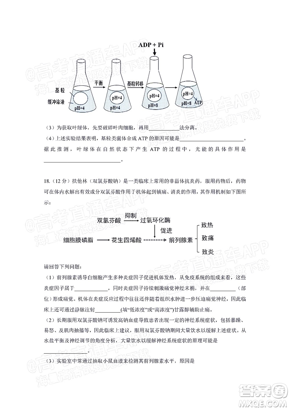 深圳2022屆六校第二次聯(lián)考試題生物試題及答案