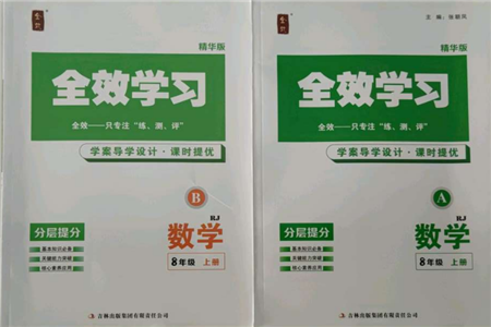 吉林出版集團(tuán)有限責(zé)任公司2021全效學(xué)習(xí)課時提優(yōu)八年級上冊數(shù)學(xué)人教版精華版參考答案