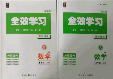 光明日報出版社2021全效學習課時提優(yōu)八年級上冊數(shù)學浙教版精華版參考答案