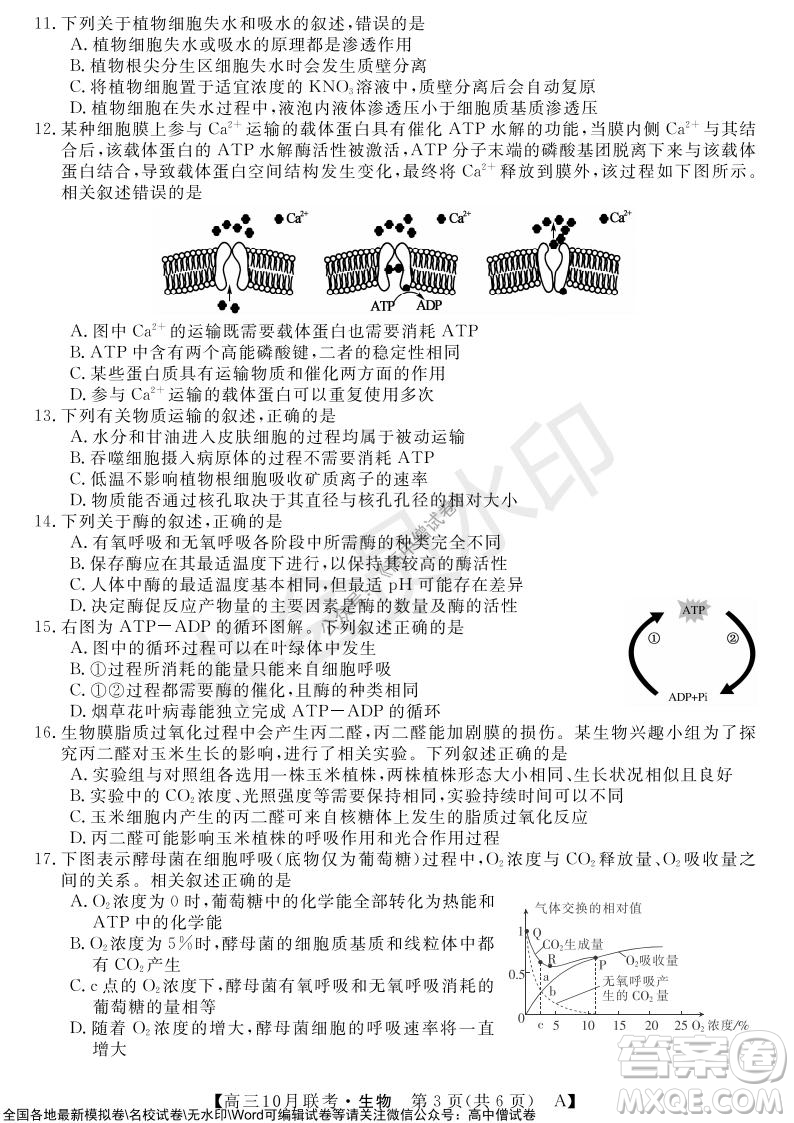 河南省名校聯(lián)盟2021-2022學(xué)年高三上學(xué)期10月聯(lián)考生物試題及答案