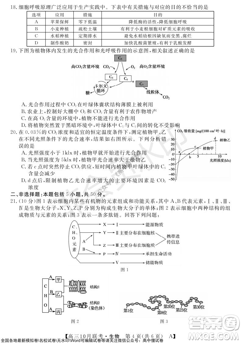 河南省名校聯(lián)盟2021-2022學(xué)年高三上學(xué)期10月聯(lián)考生物試題及答案