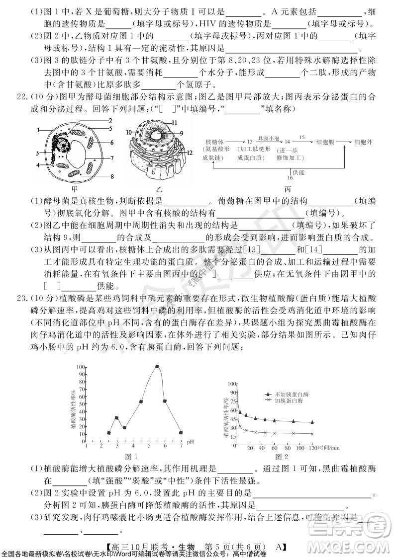 河南省名校聯(lián)盟2021-2022學(xué)年高三上學(xué)期10月聯(lián)考生物試題及答案