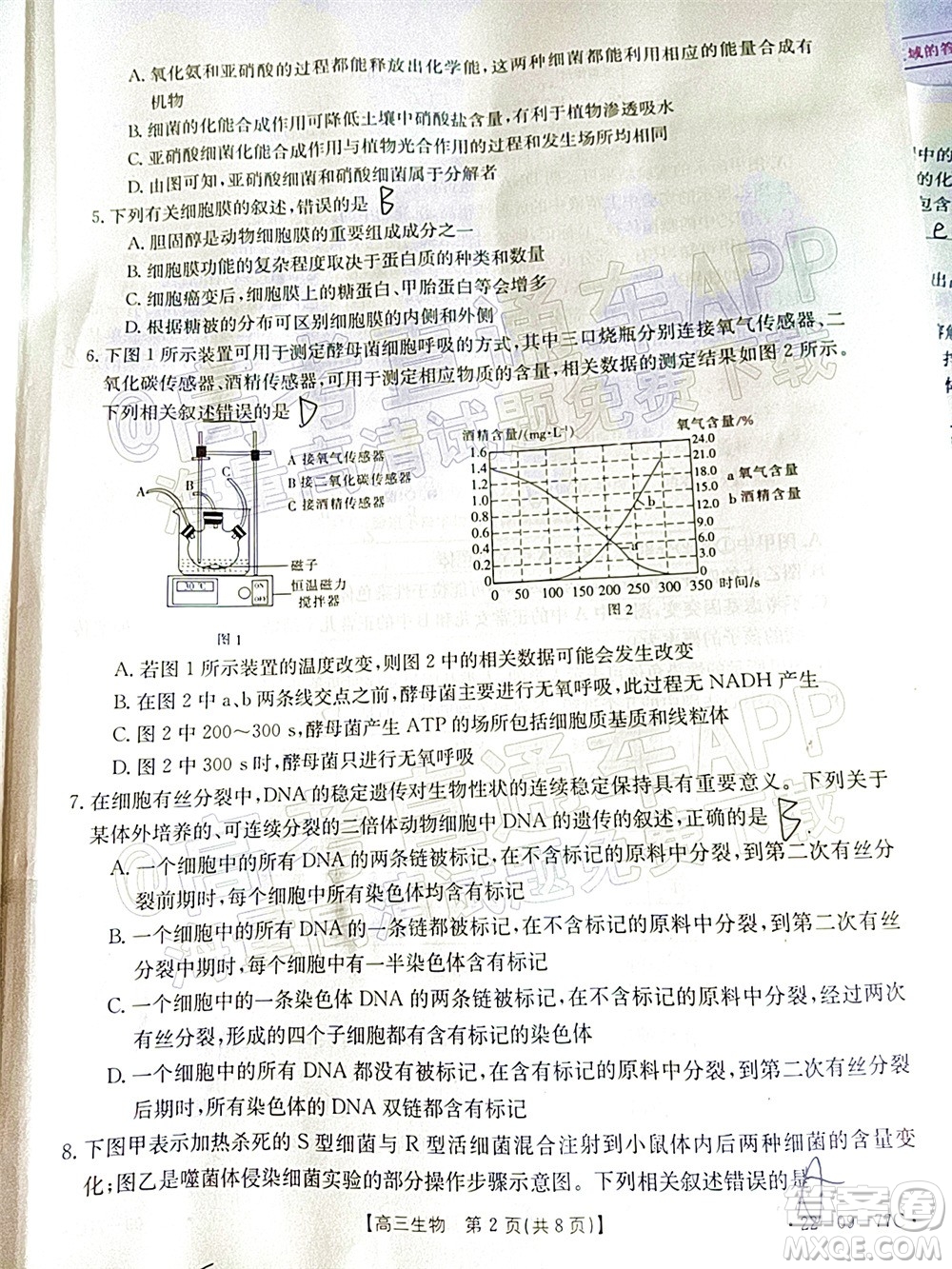 2022屆湖南金太陽(yáng)高三10月聯(lián)考生物試卷及答案