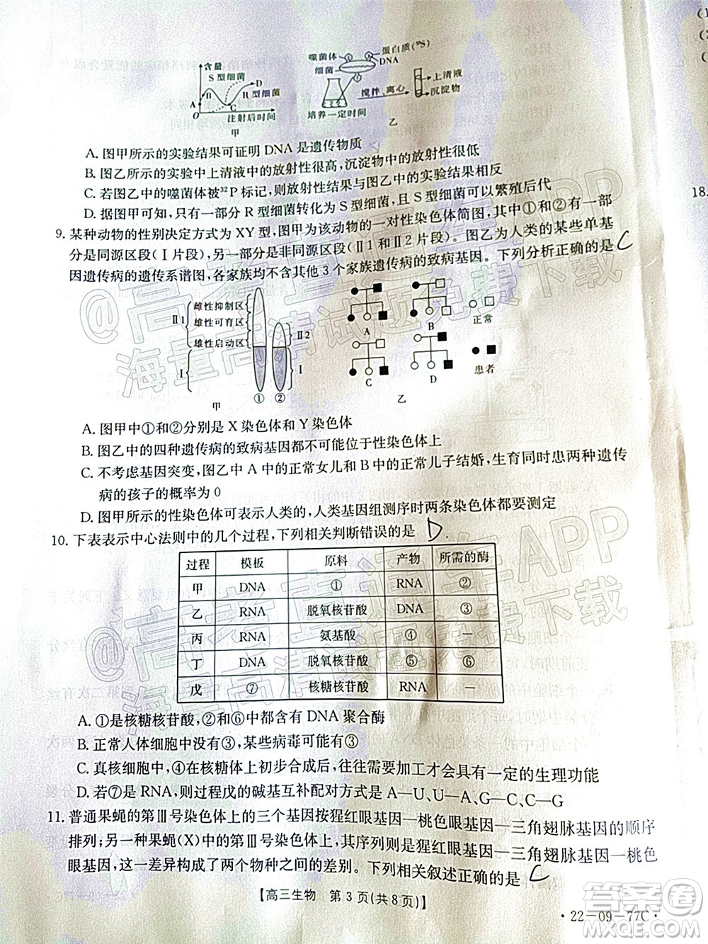 2022屆湖南金太陽(yáng)高三10月聯(lián)考生物試卷及答案