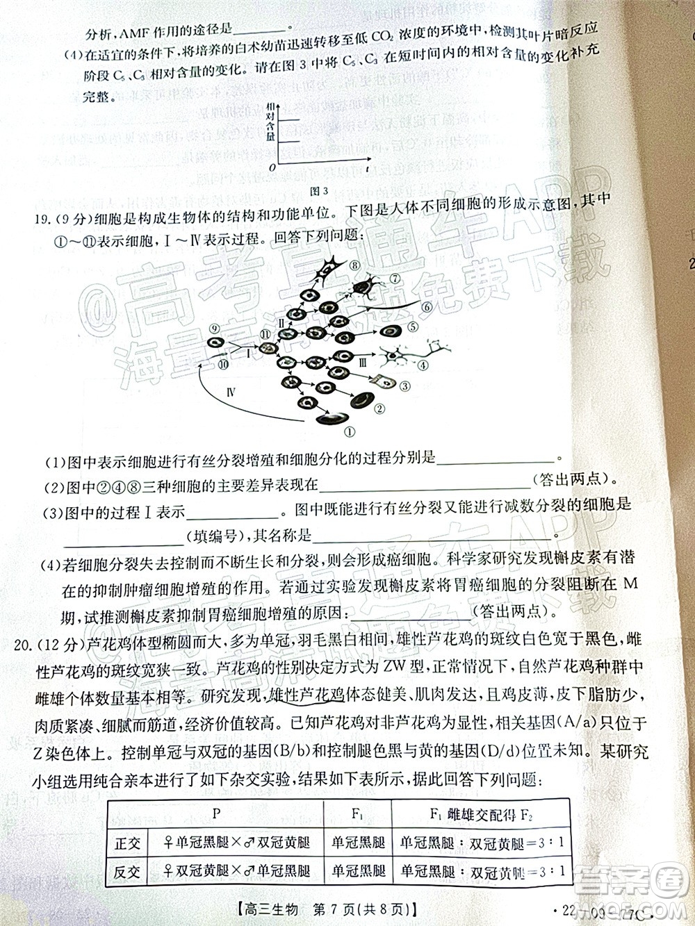 2022屆湖南金太陽(yáng)高三10月聯(lián)考生物試卷及答案