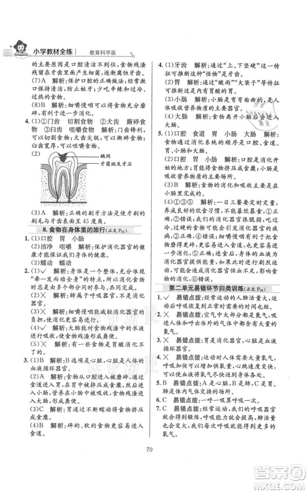 陜西人民教育出版社2021小學教材全練四年級上冊科學教育科學版參考答案