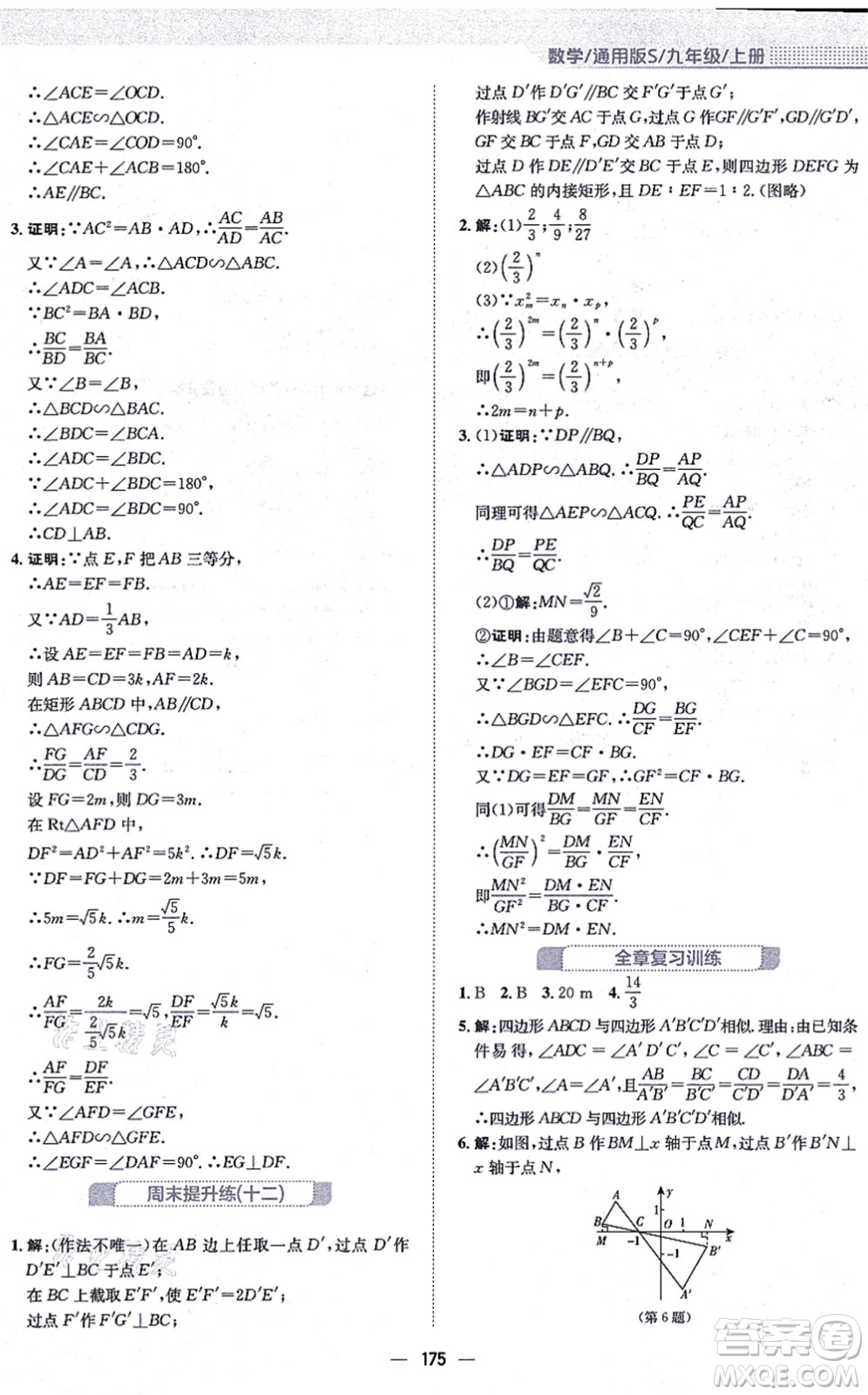 安徽教育出版社2021新編基礎訓練九年級數學上冊通用版S答案