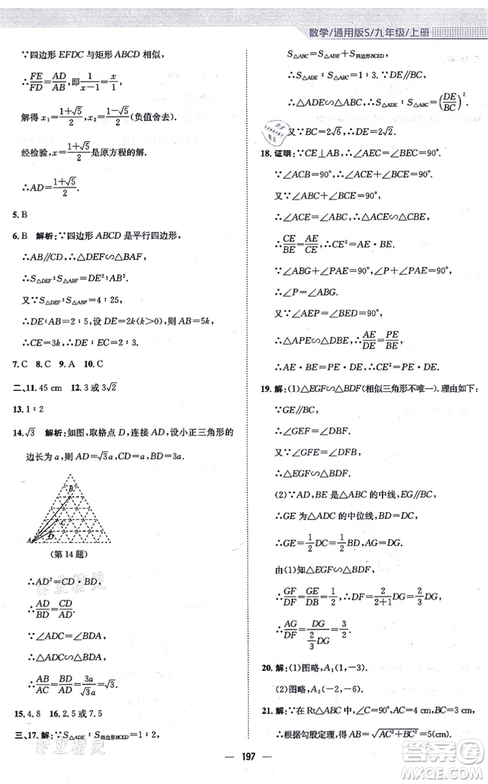 安徽教育出版社2021新編基礎訓練九年級數學上冊通用版S答案