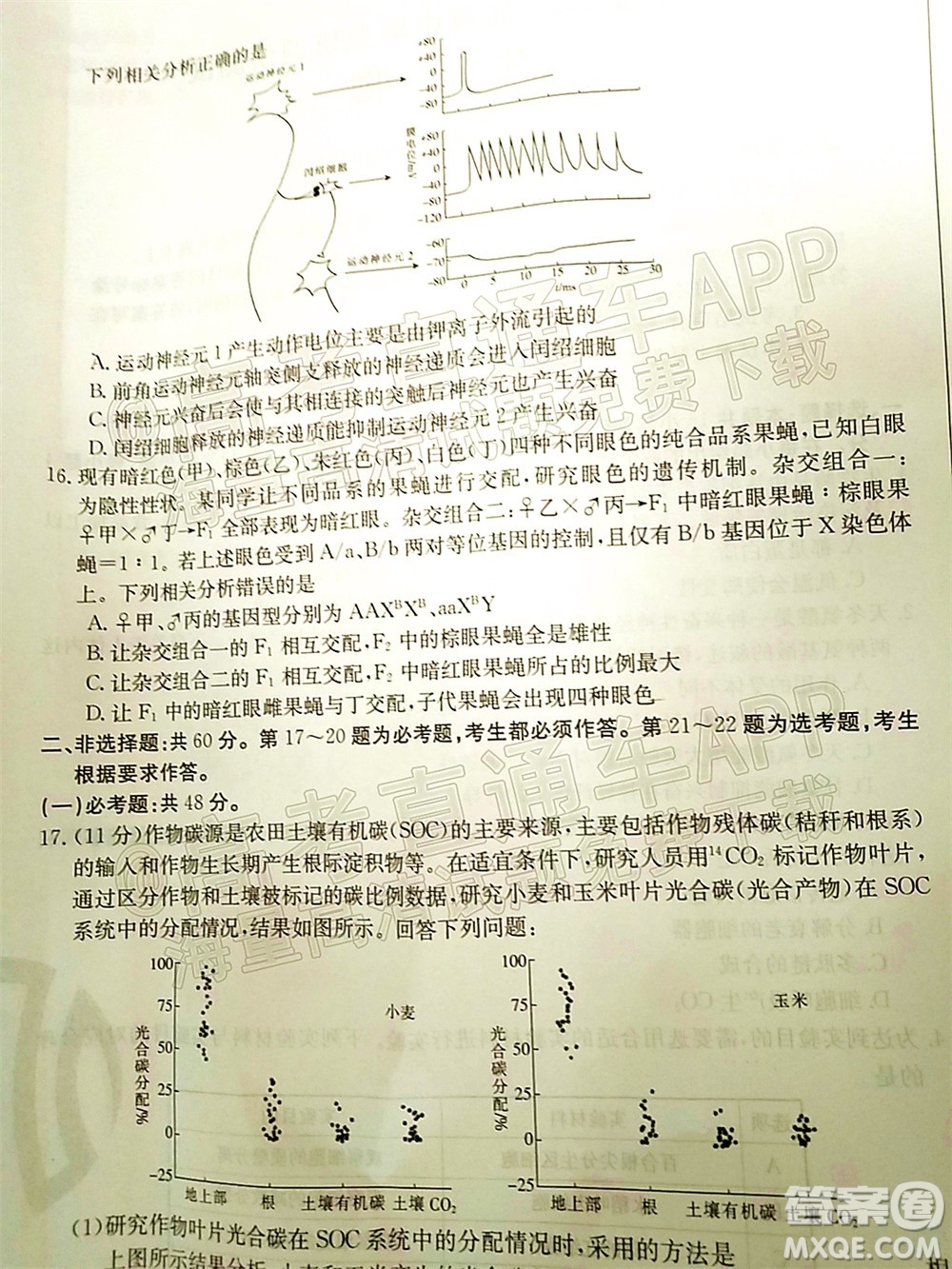 湛江市2022屆高中畢業(yè)班調(diào)研測試生物試題及答案