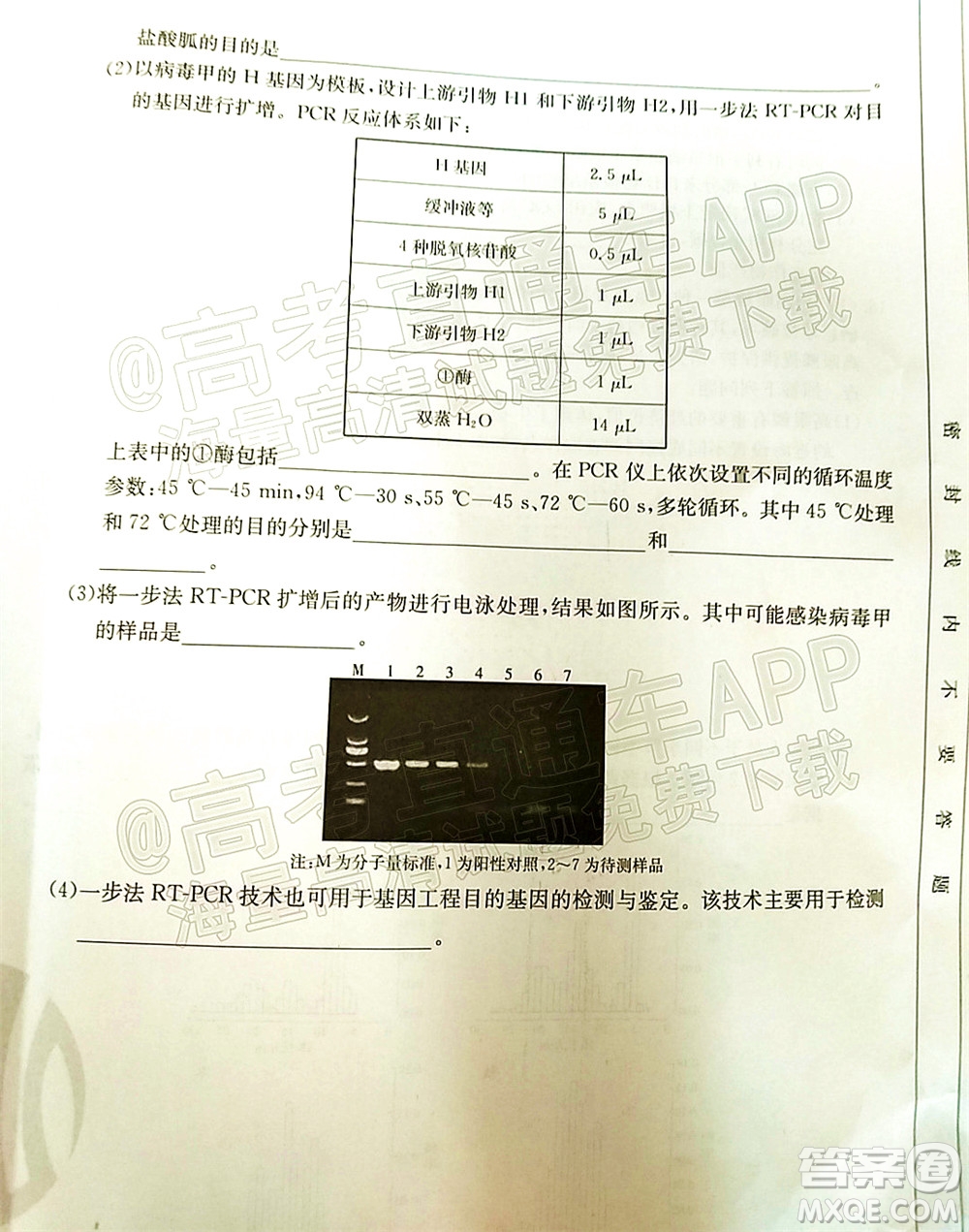 湛江市2022屆高中畢業(yè)班調(diào)研測試生物試題及答案