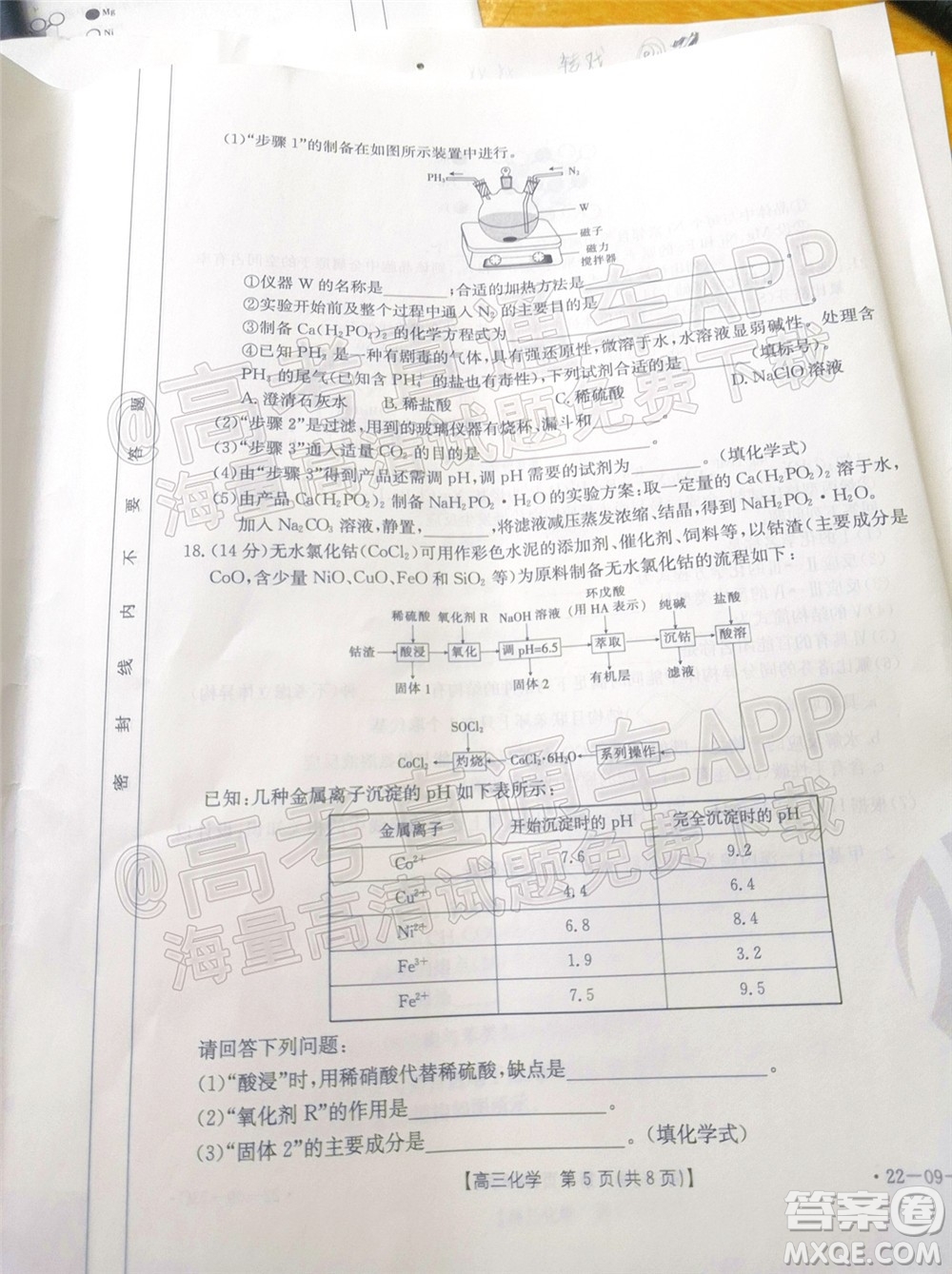 2022屆廣東金太陽高三10月聯(lián)考化學(xué)試題及答案