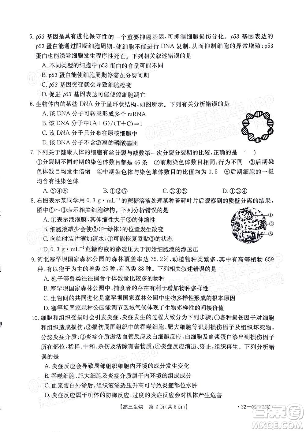 2022屆廣東金太陽(yáng)高三10月聯(lián)考生物試題及答案