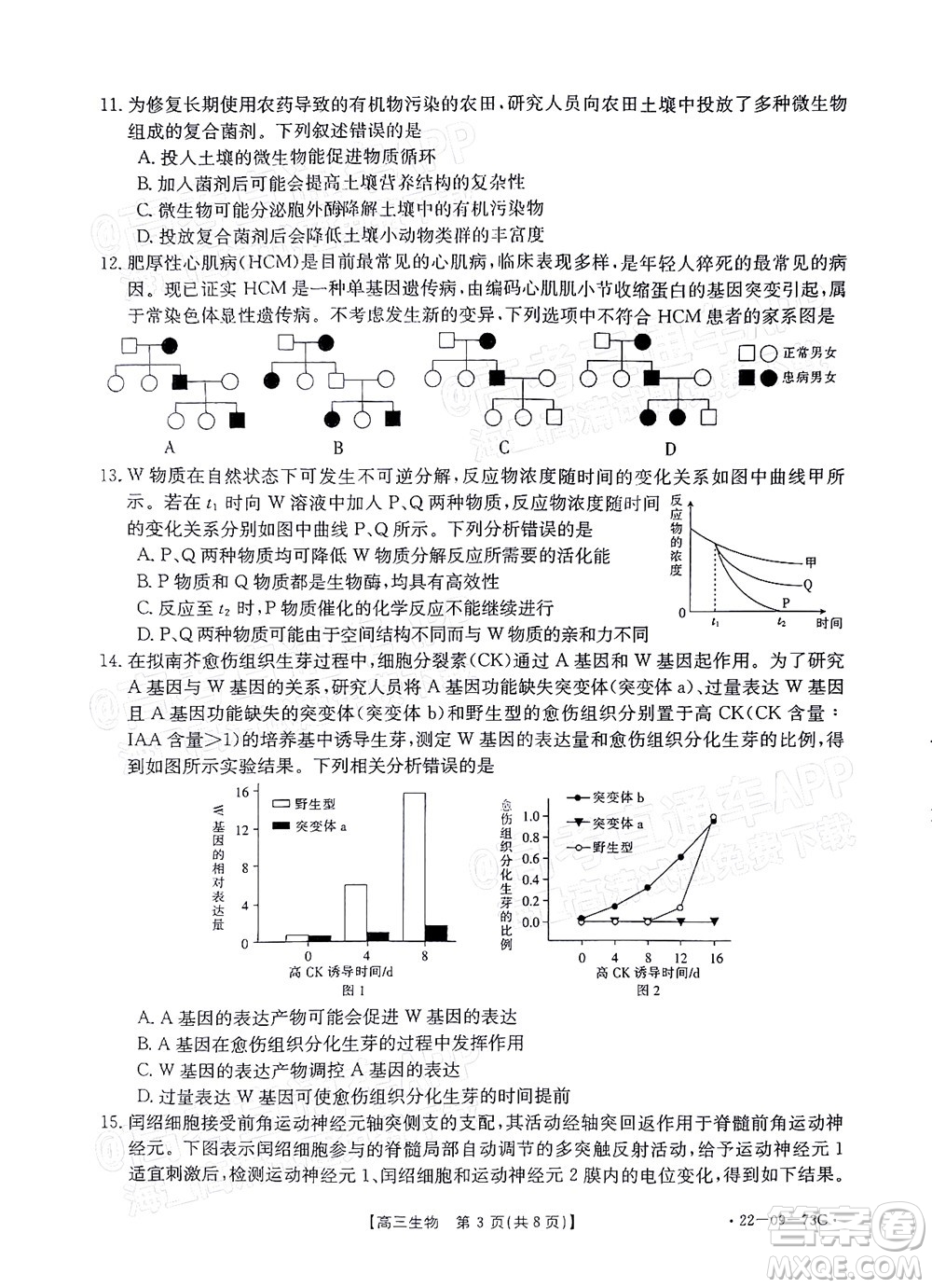 2022屆廣東金太陽(yáng)高三10月聯(lián)考生物試題及答案