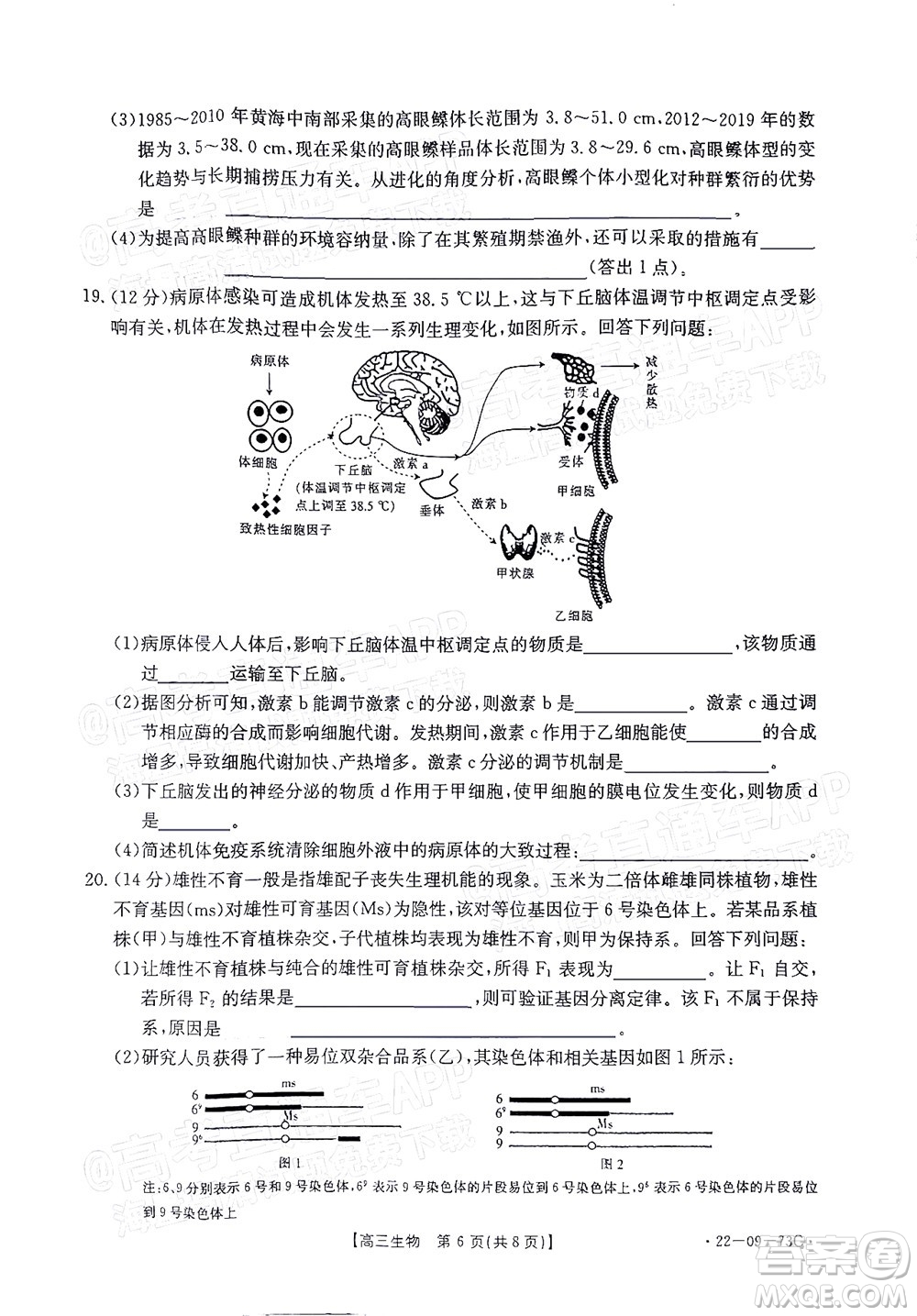 2022屆廣東金太陽(yáng)高三10月聯(lián)考生物試題及答案