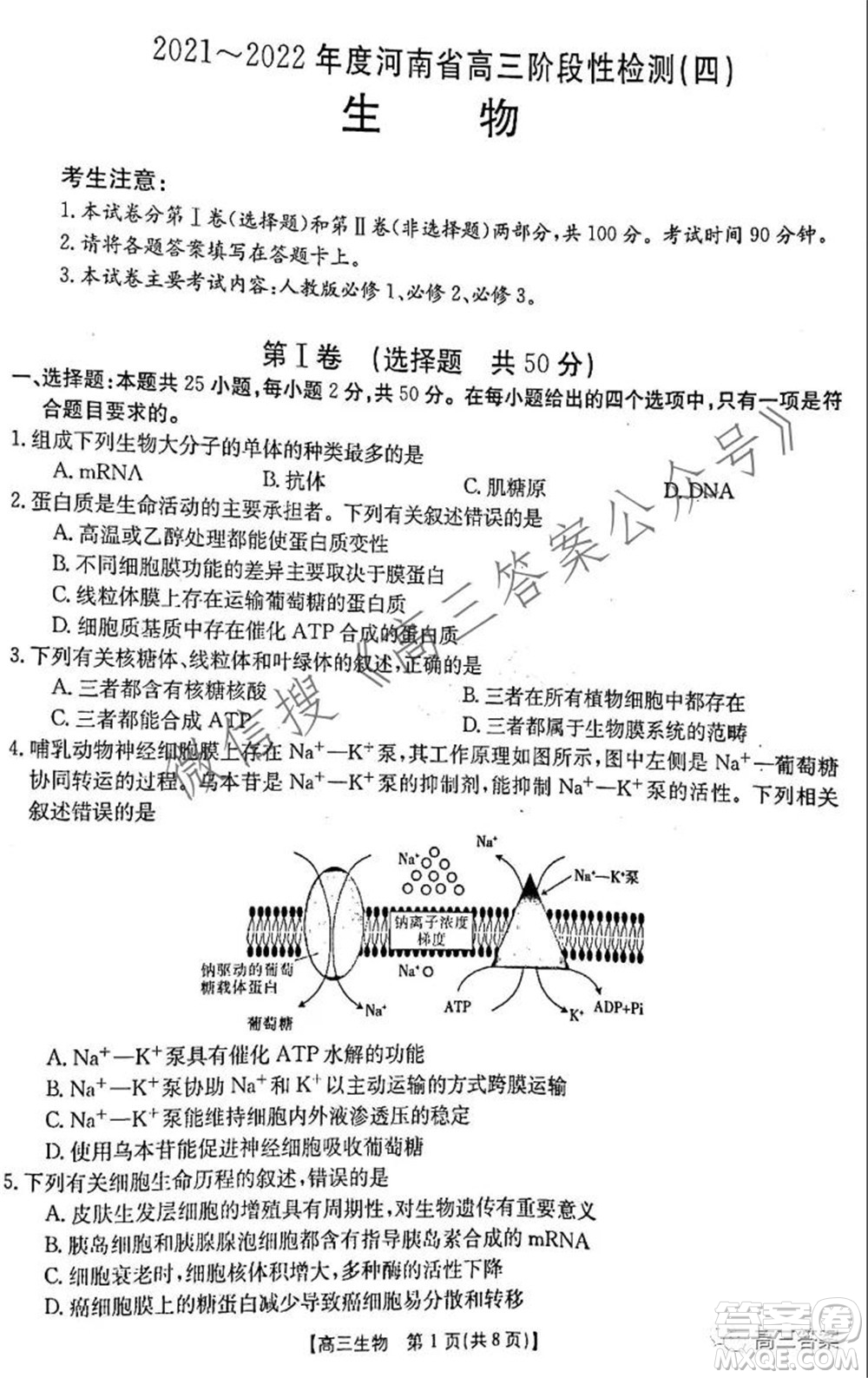 2021-2022年度河南省高三階段性檢測(cè)四生物試題及答案