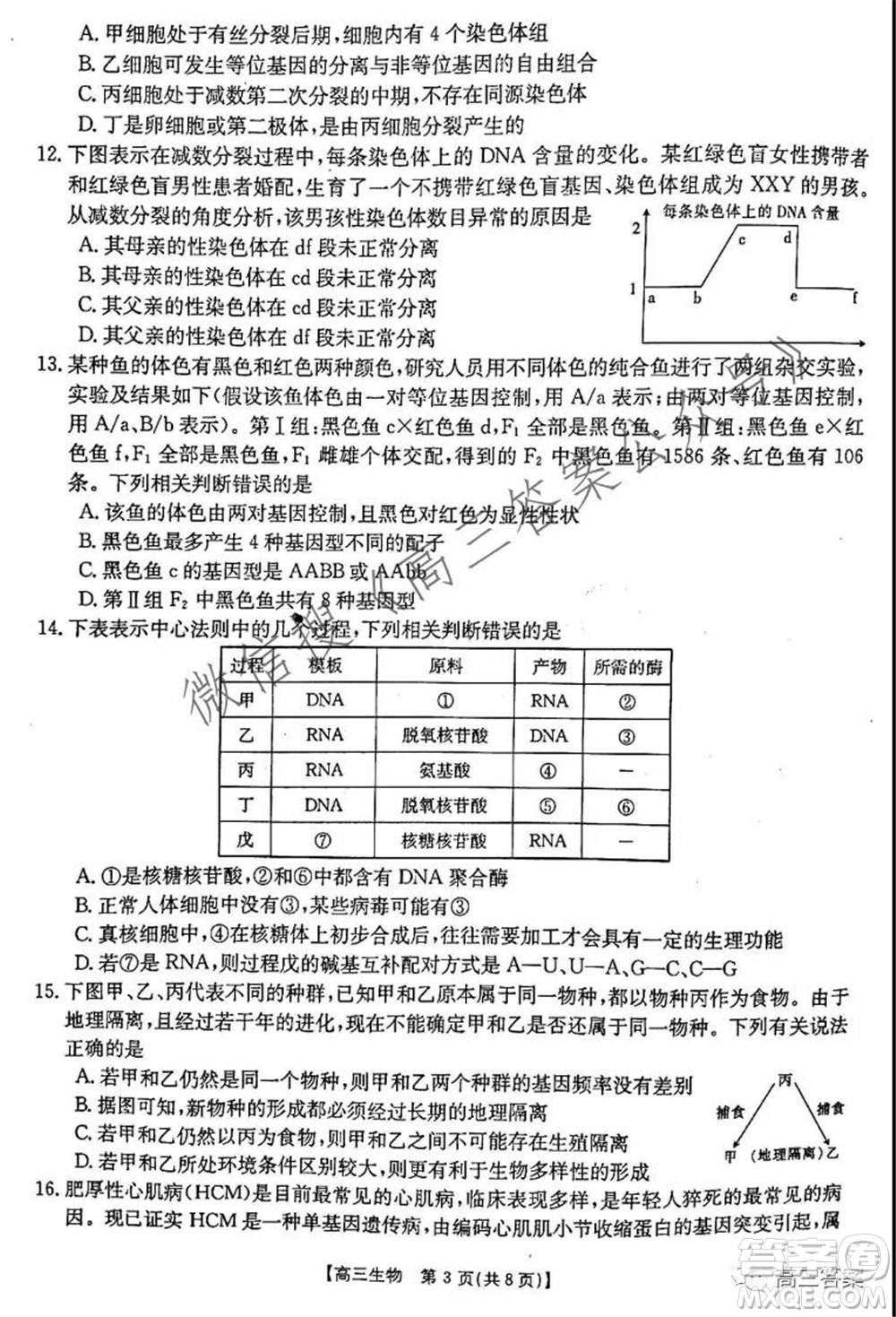 2021-2022年度河南省高三階段性檢測(cè)四生物試題及答案