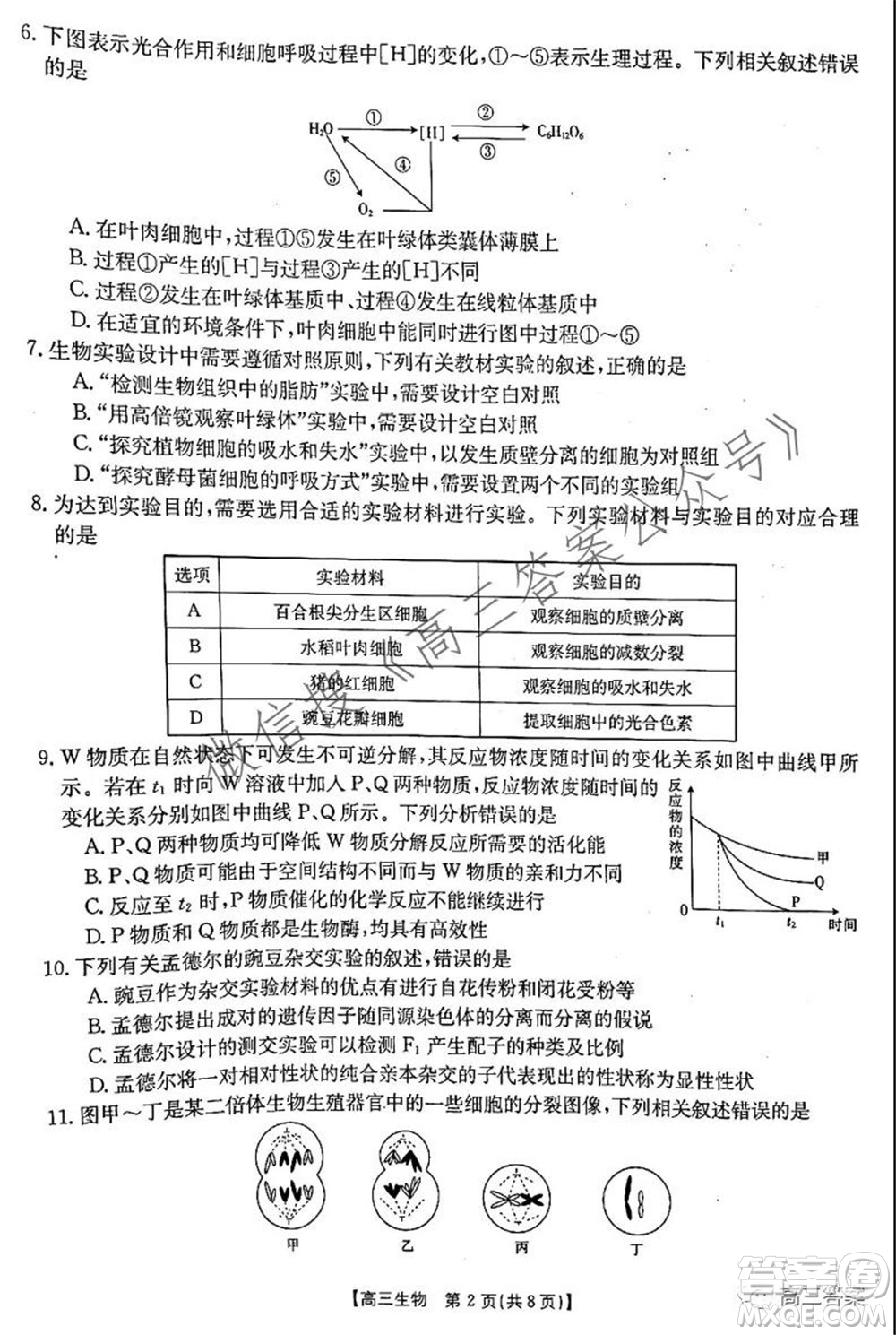 2021-2022年度河南省高三階段性檢測(cè)四生物試題及答案