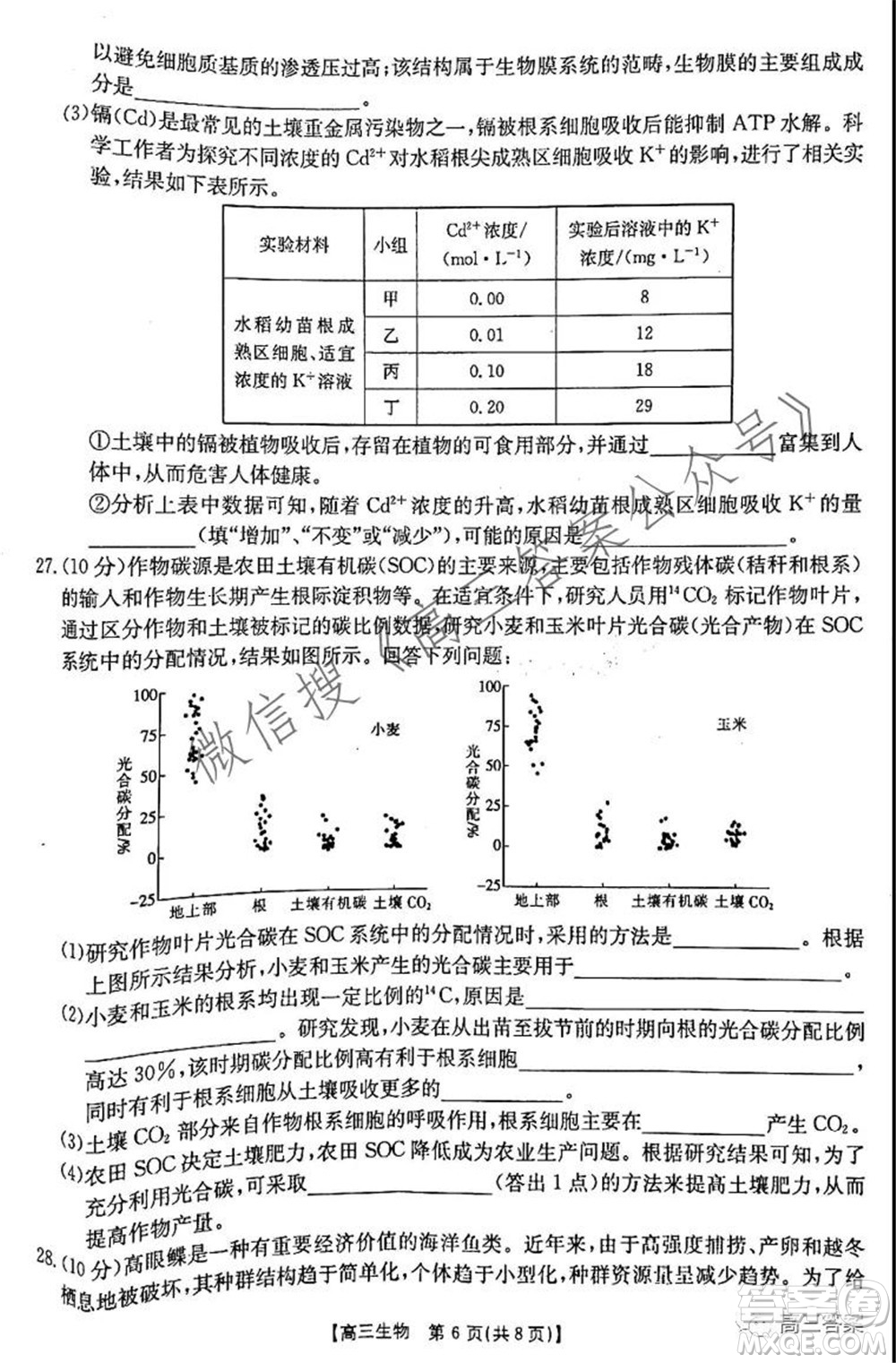 2021-2022年度河南省高三階段性檢測(cè)四生物試題及答案