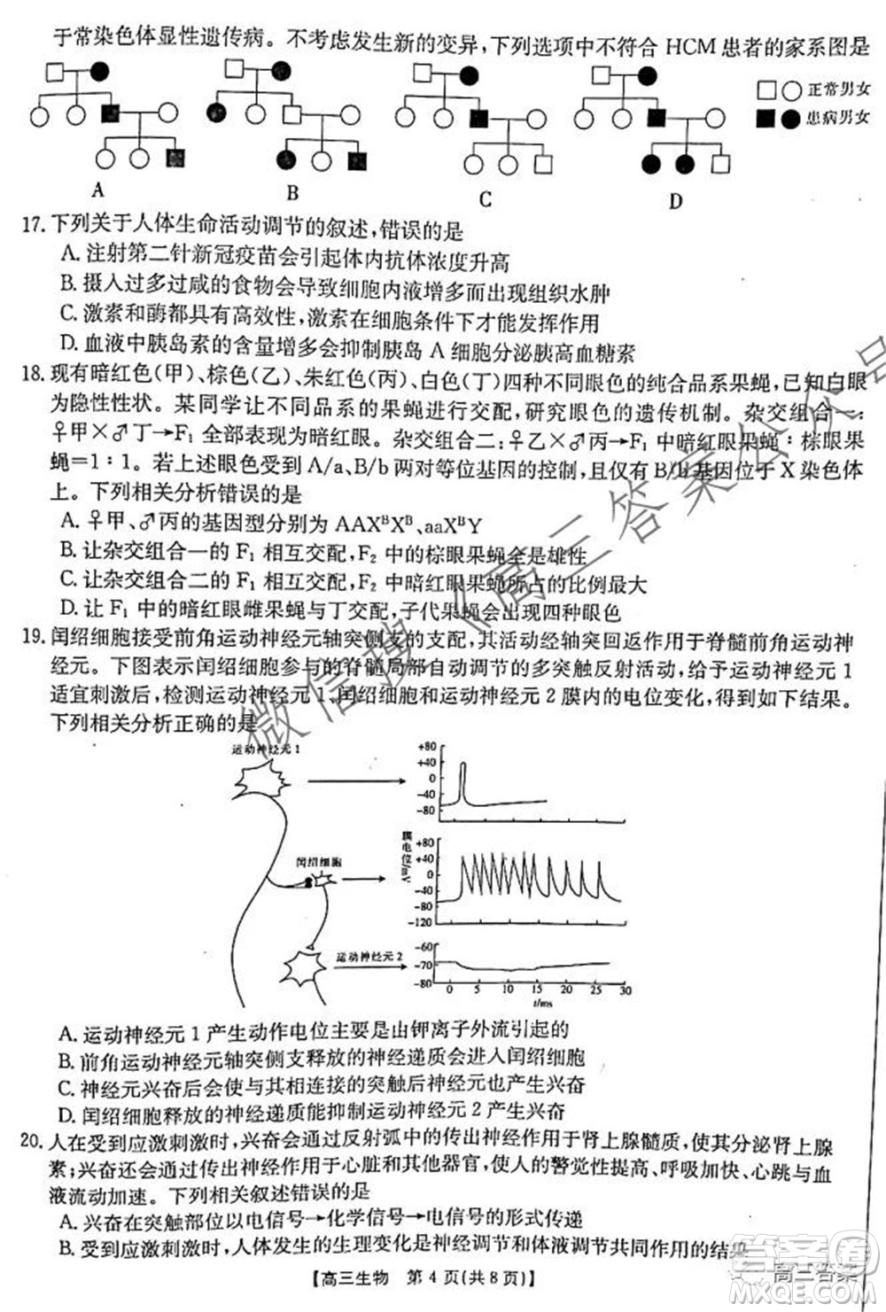 2021-2022年度河南省高三階段性檢測(cè)四生物試題及答案