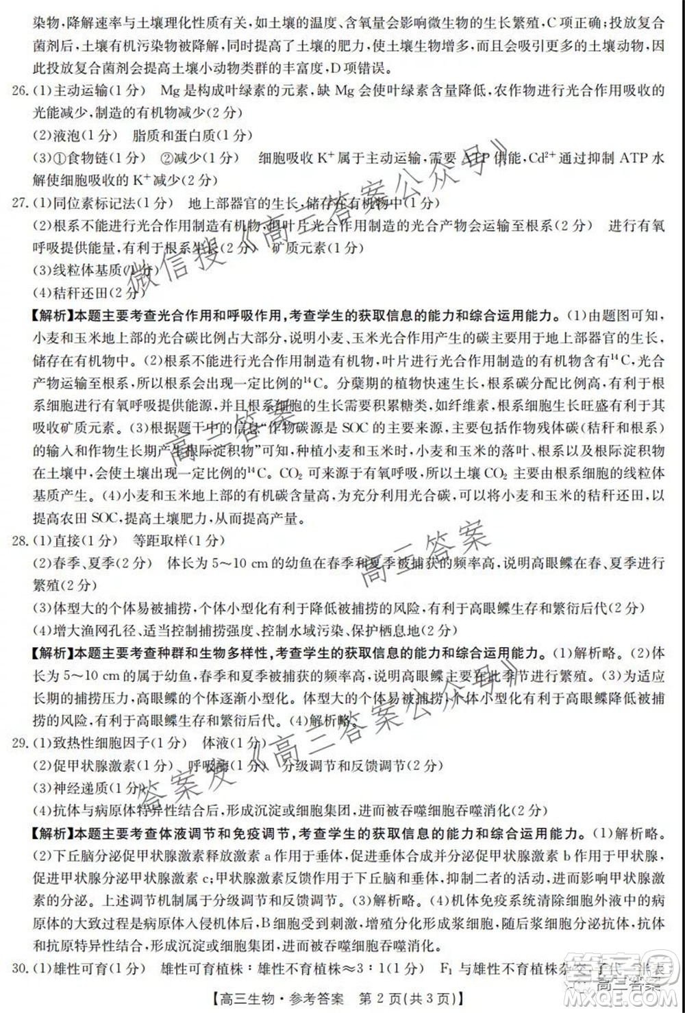 2021-2022年度河南省高三階段性檢測(cè)四生物試題及答案