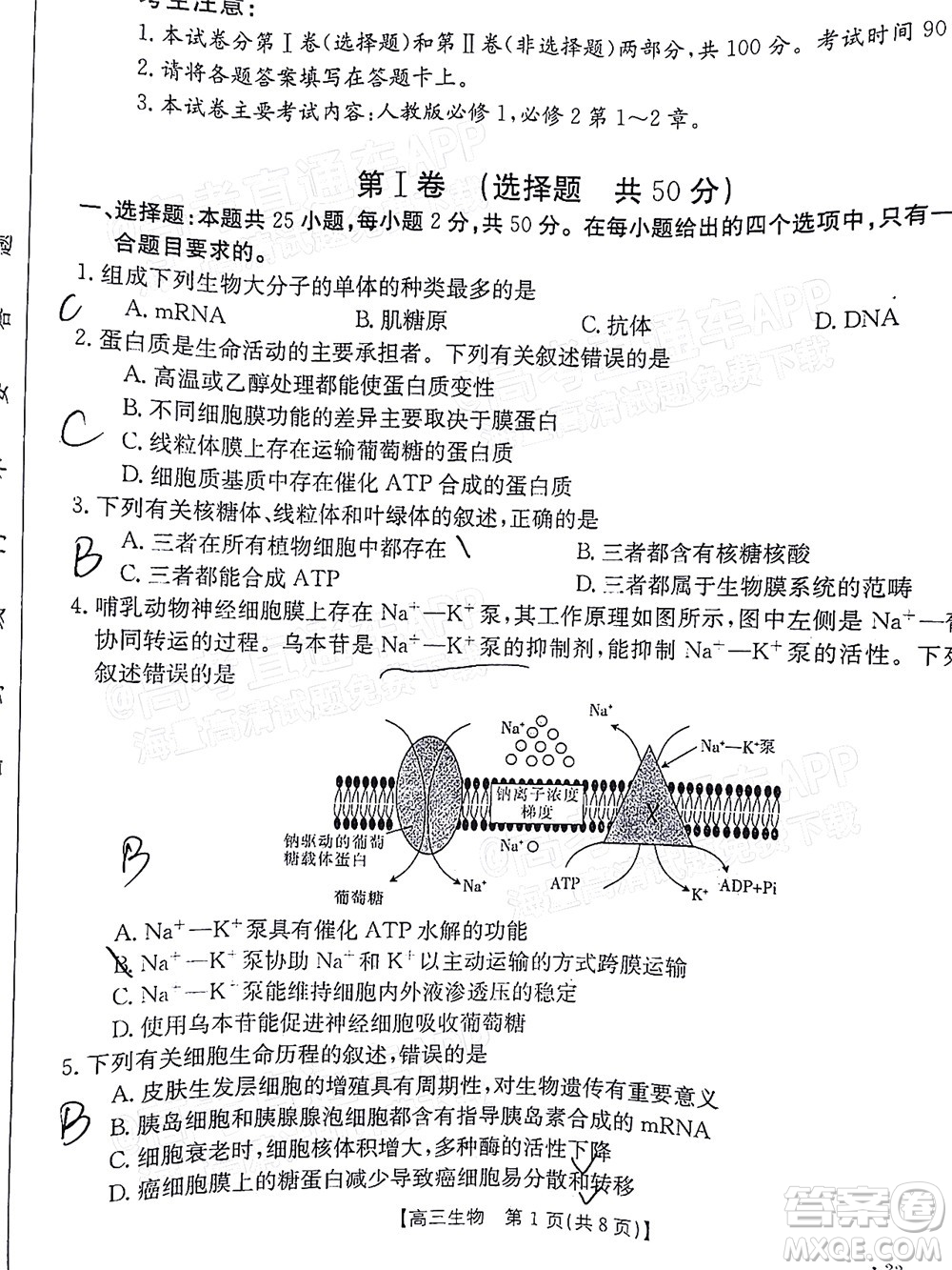 2022屆江西金太陽高三10月聯(lián)考生物試卷及答案