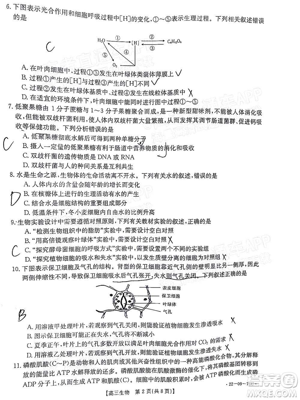 2022屆江西金太陽高三10月聯(lián)考生物試卷及答案