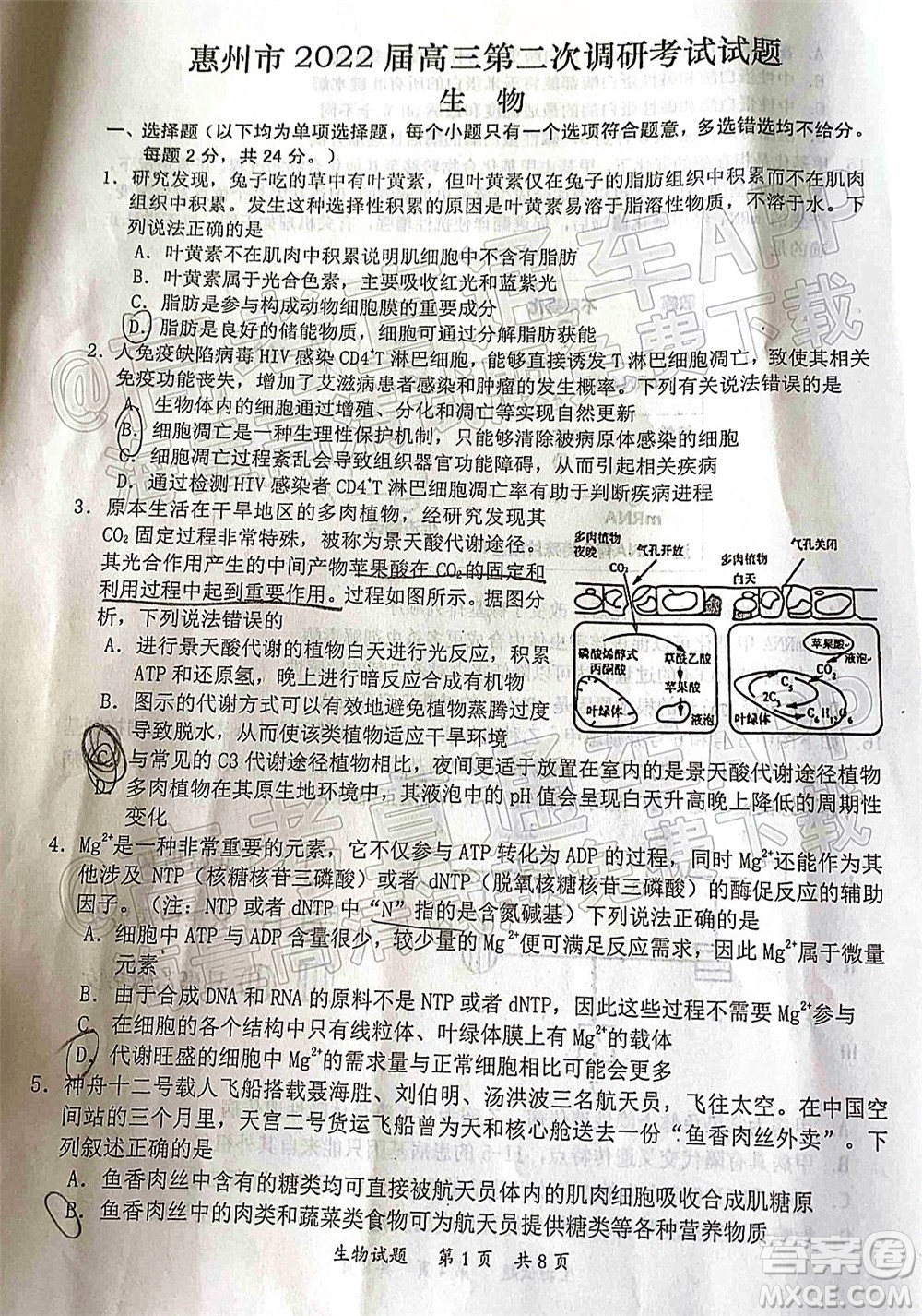 惠州市2022屆高三第二次調研考試生物試題及答案